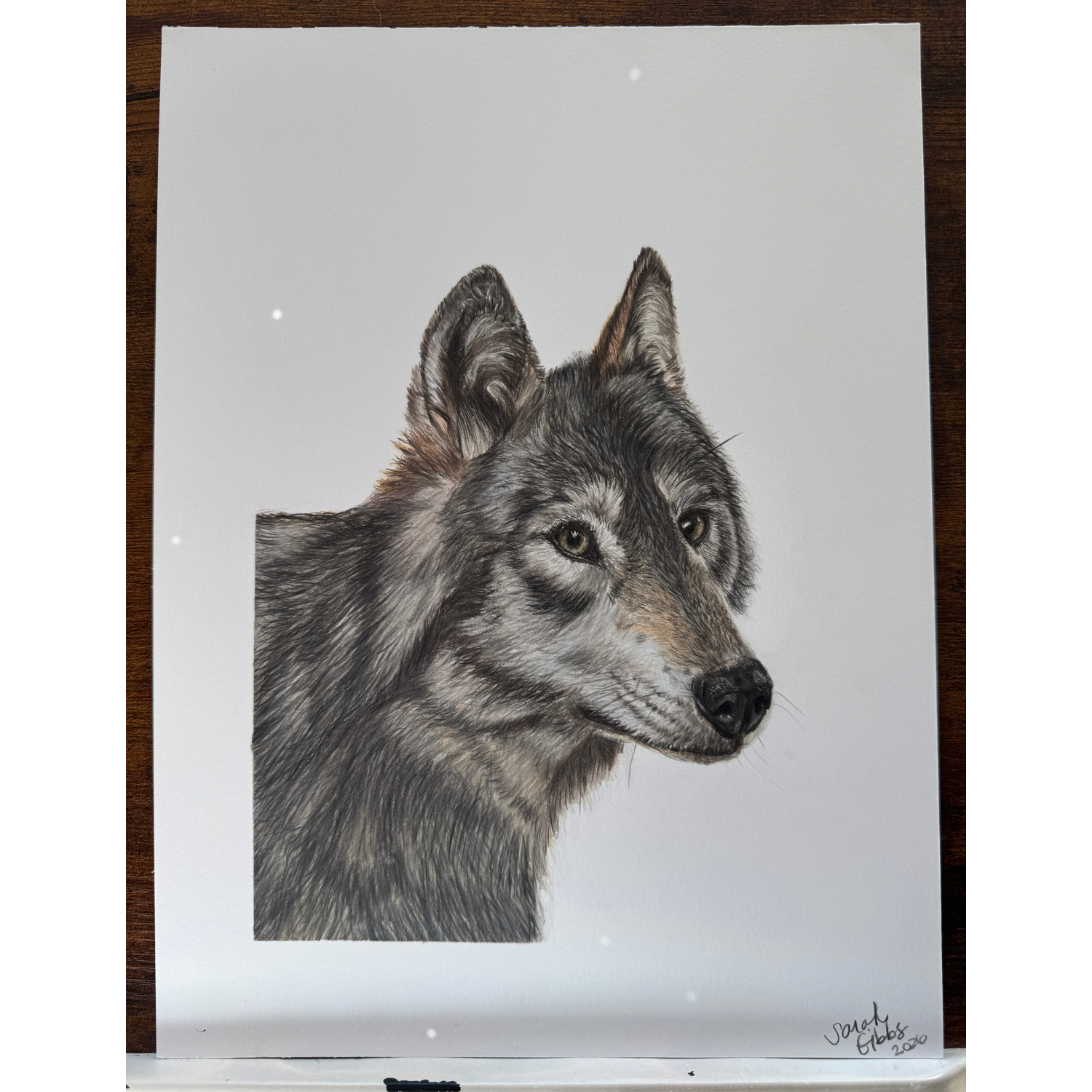 wolf art.png