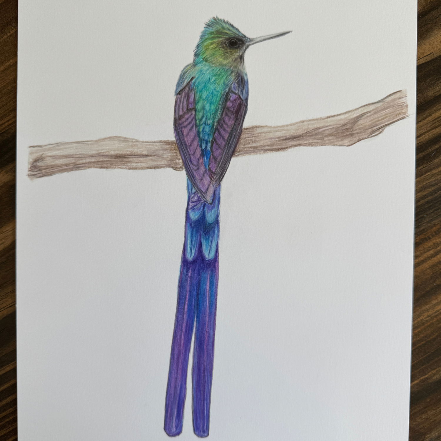 original bird art.png