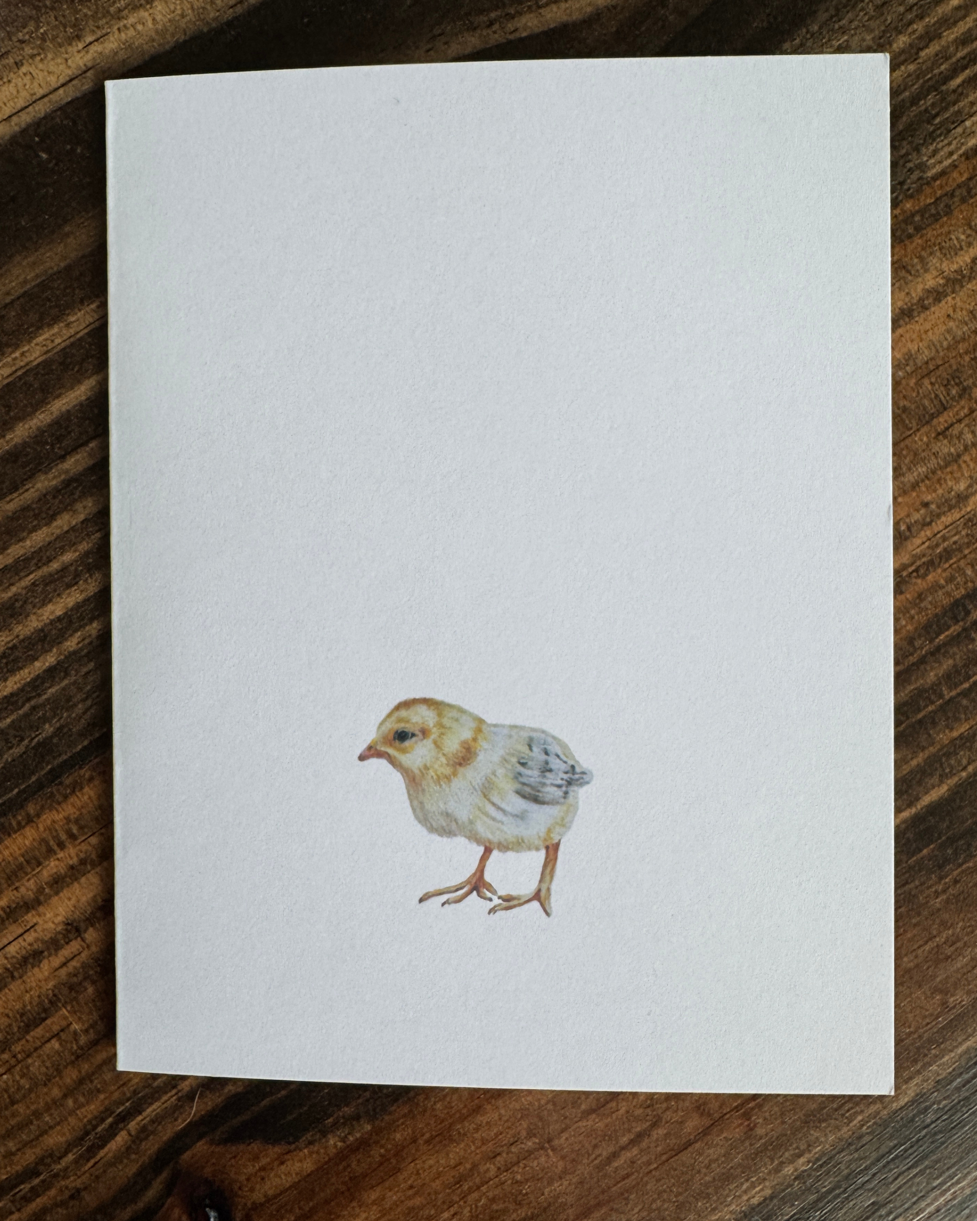 Chick Greeting Card