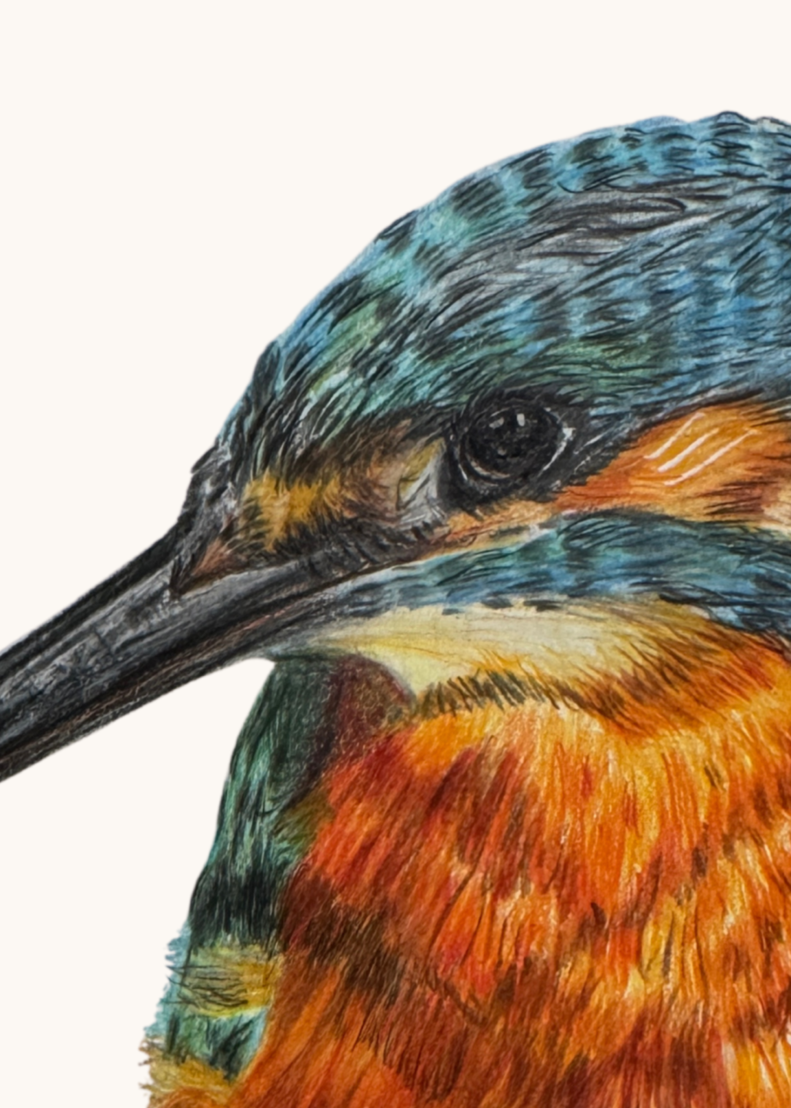 Kingfisher