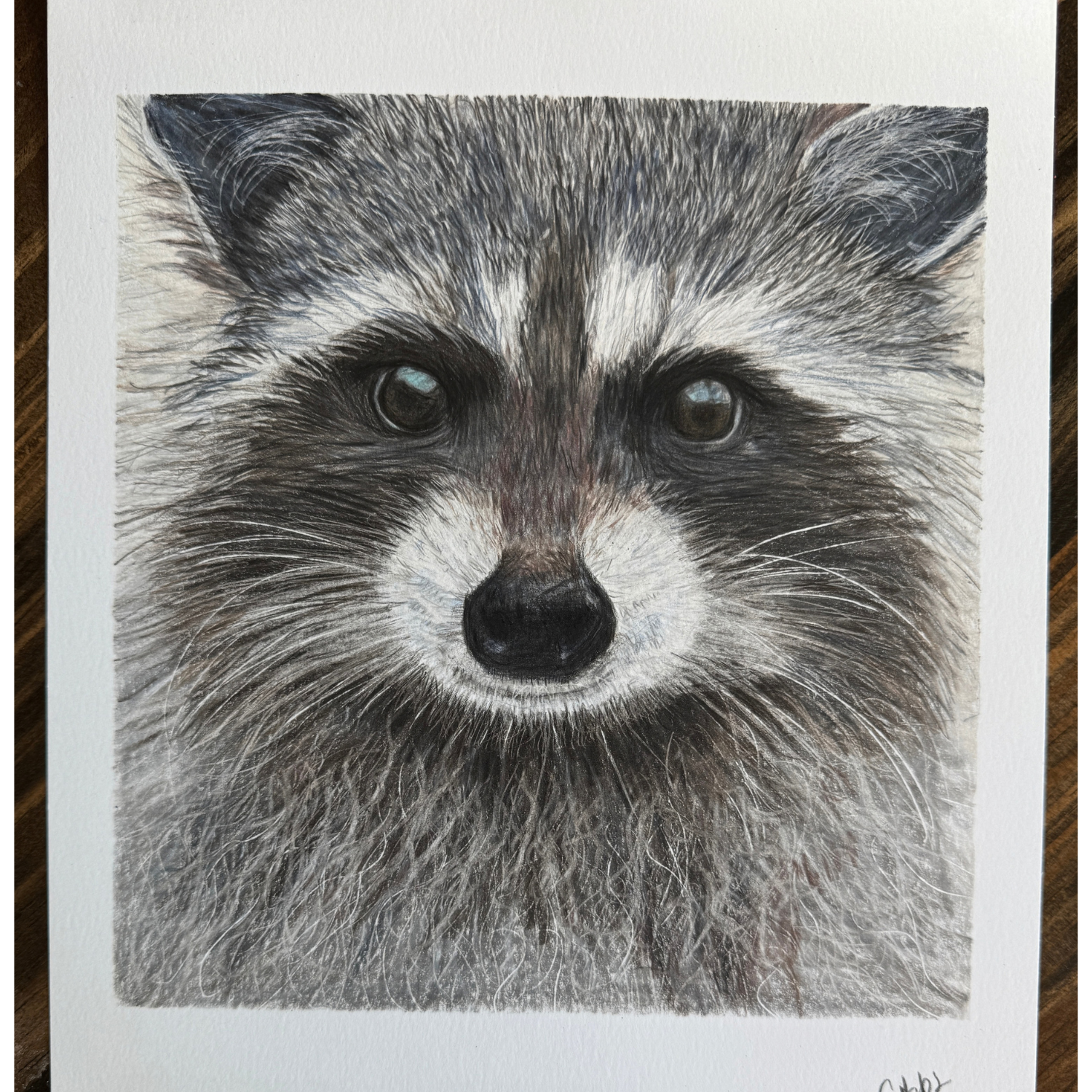 raccoon aft.png