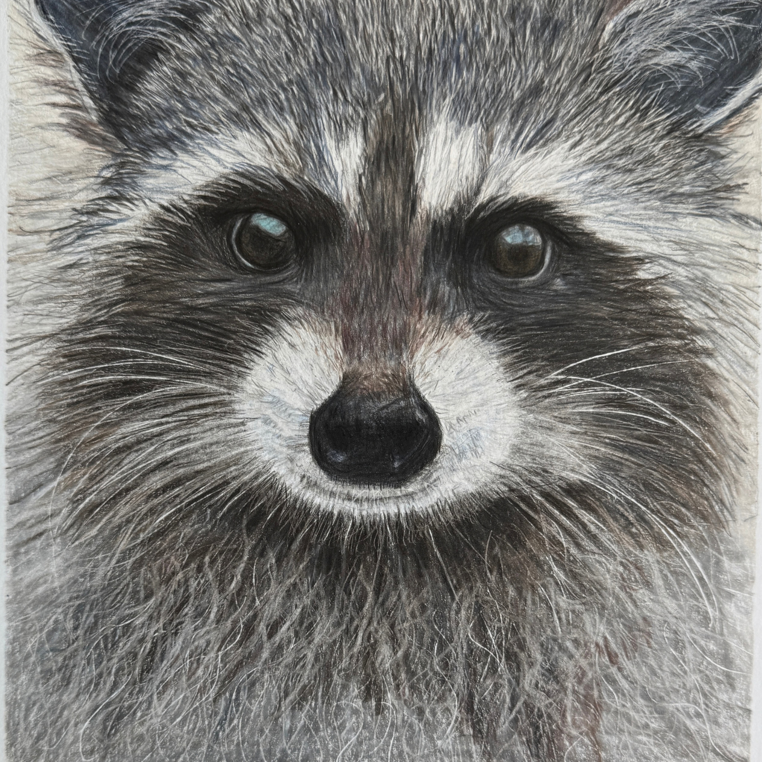 "Happy Coon" - Raccoon - Original Art