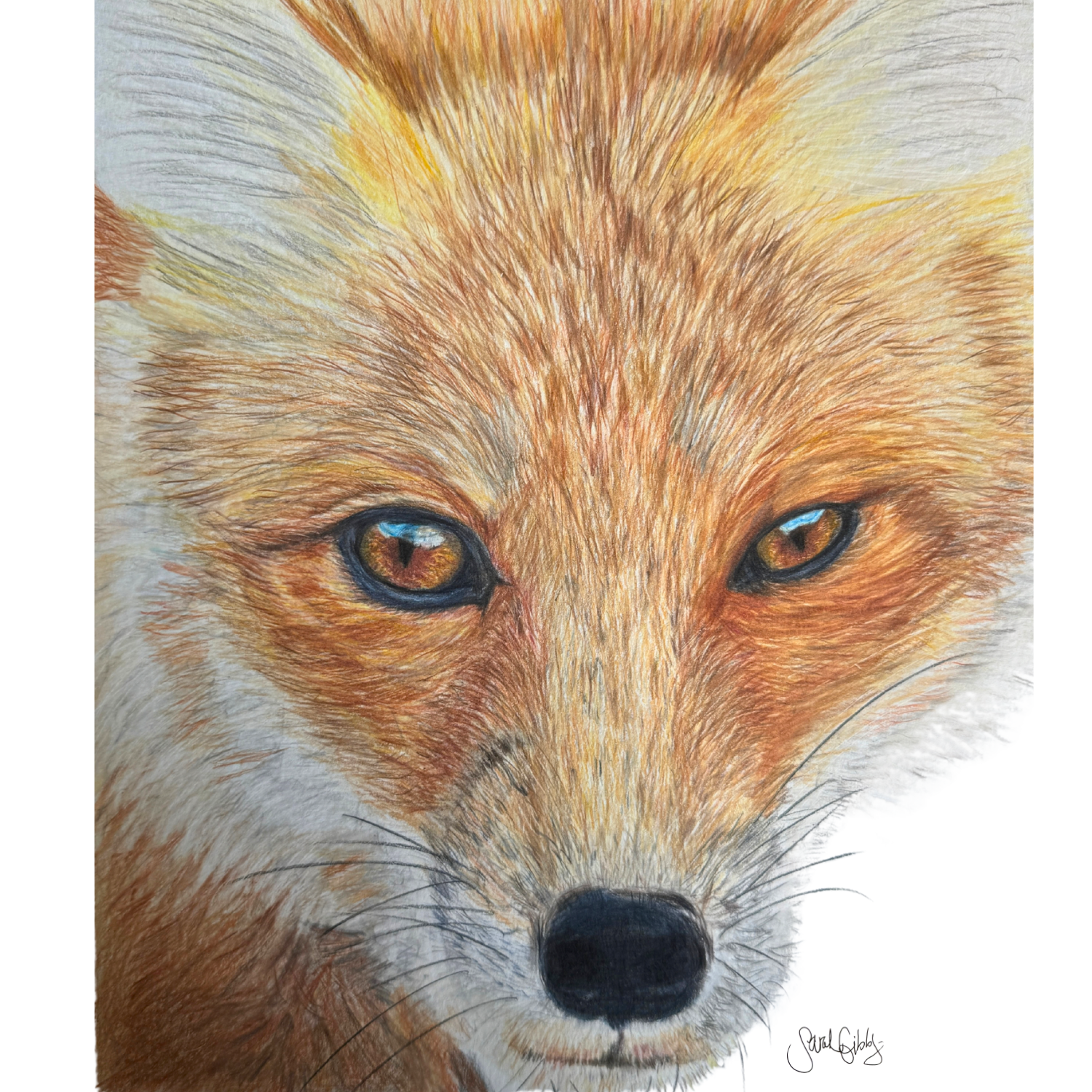"The Fox Connection" Fox Art Print - Close Encounter Collection