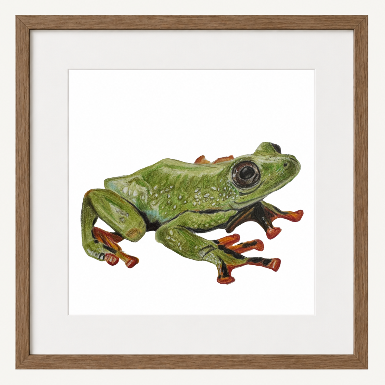 Frog Art Print