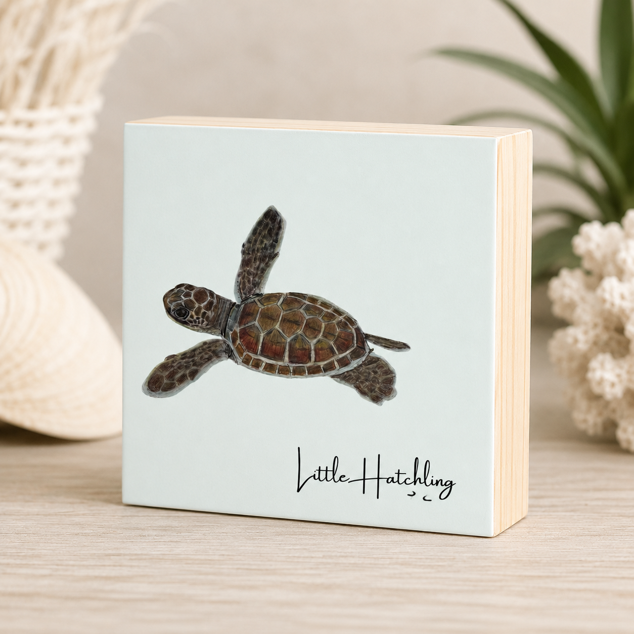 Little Sea Turtle Mockup.png