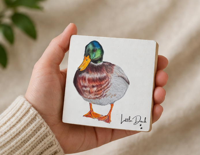 Mallard duck art little.png