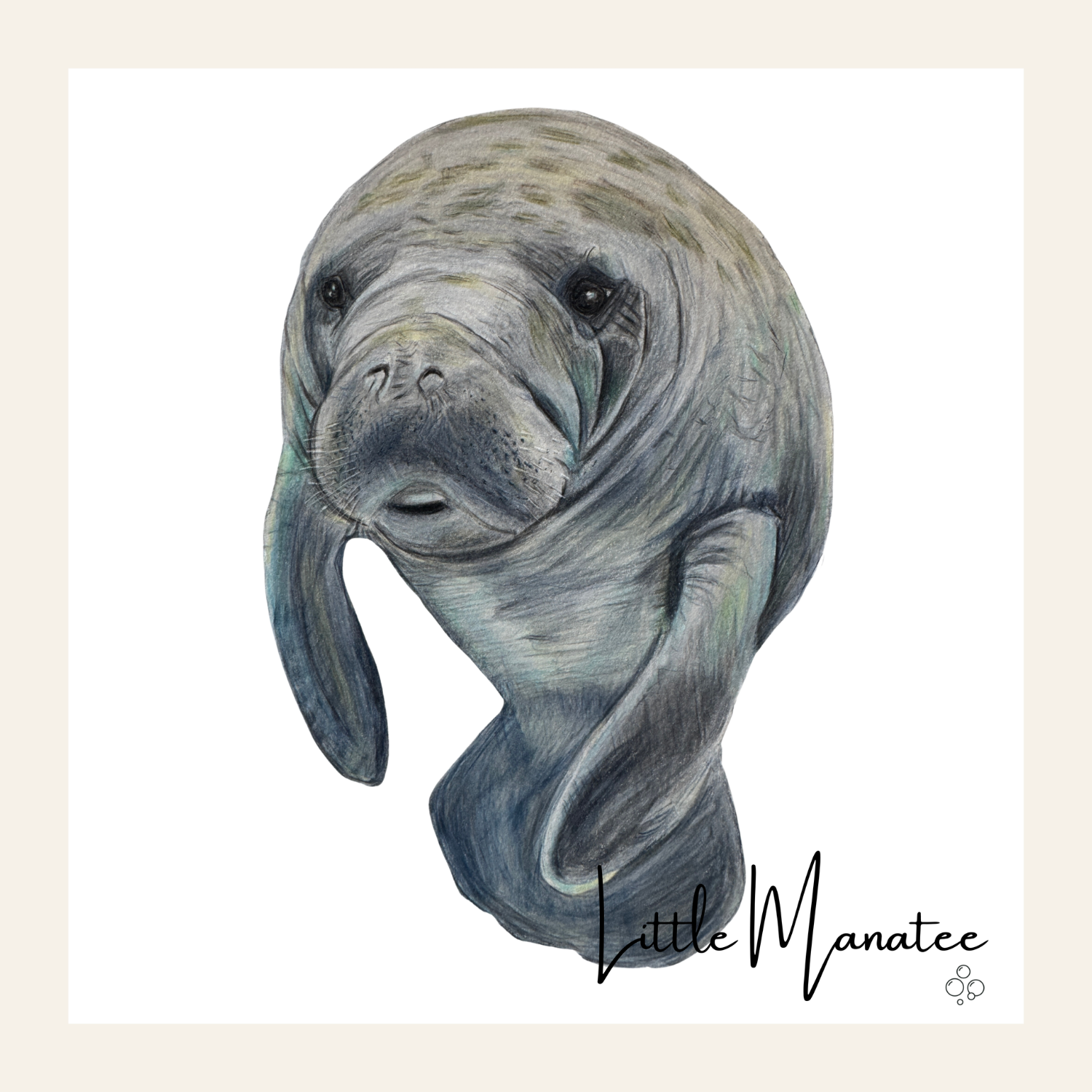 Little Manatee Thumbnail.png