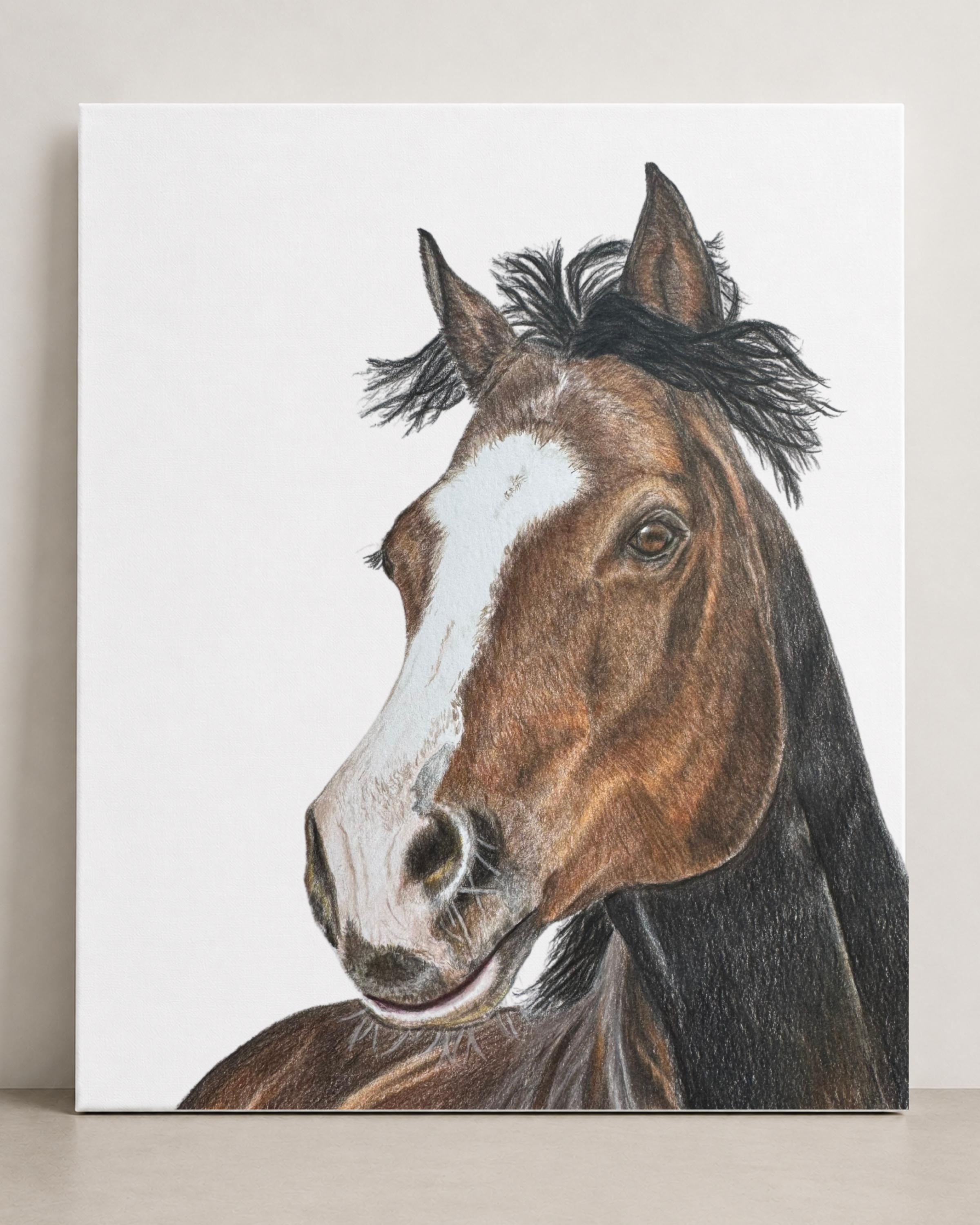 Horse Canvas
