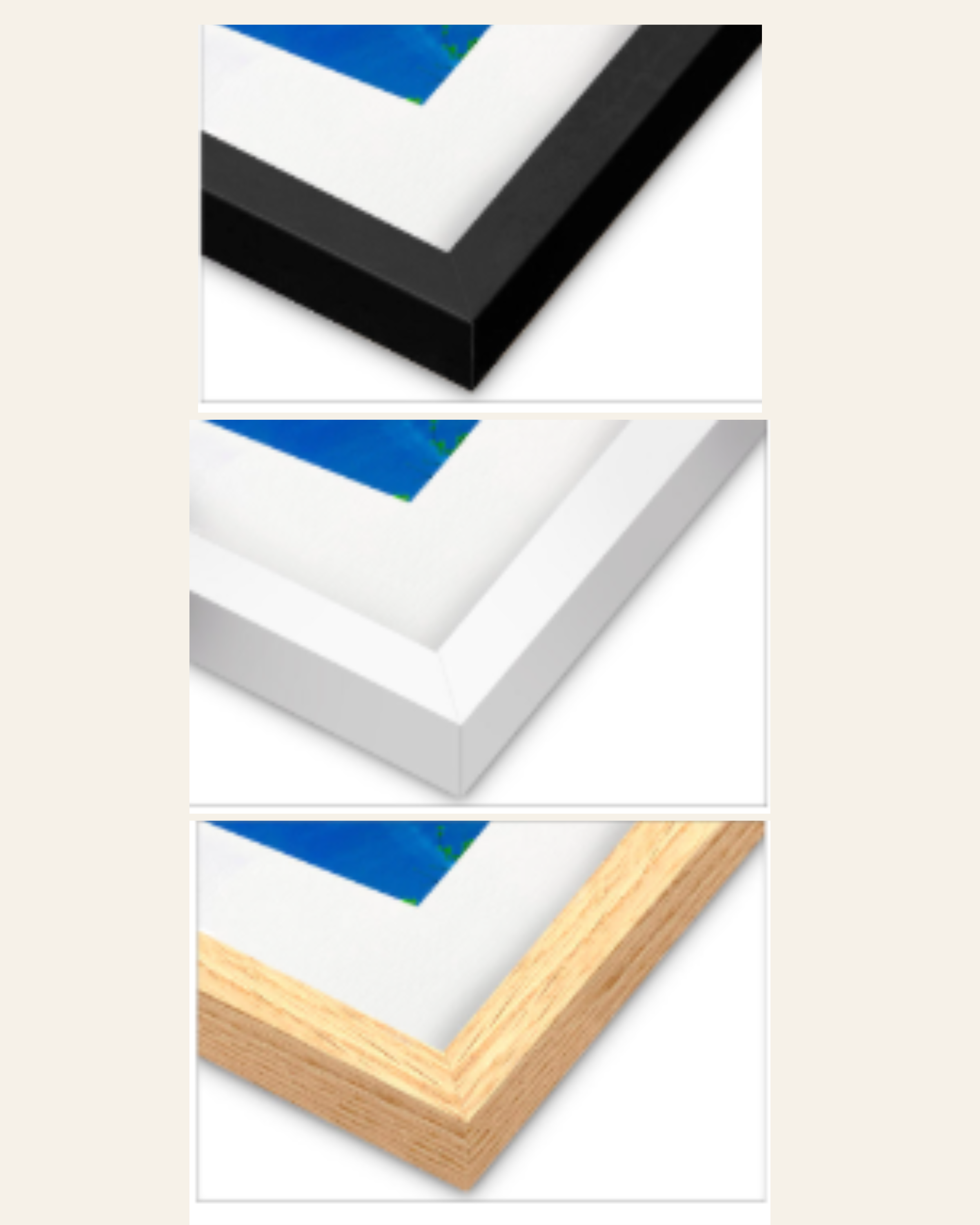 Frame Options.png (Copy) (Copy) (Copy) (Copy)