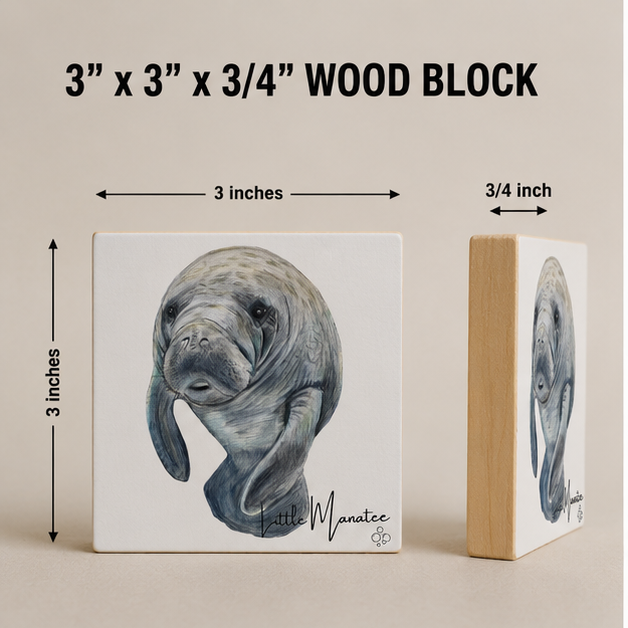 Little+Manatee+Mockups.png