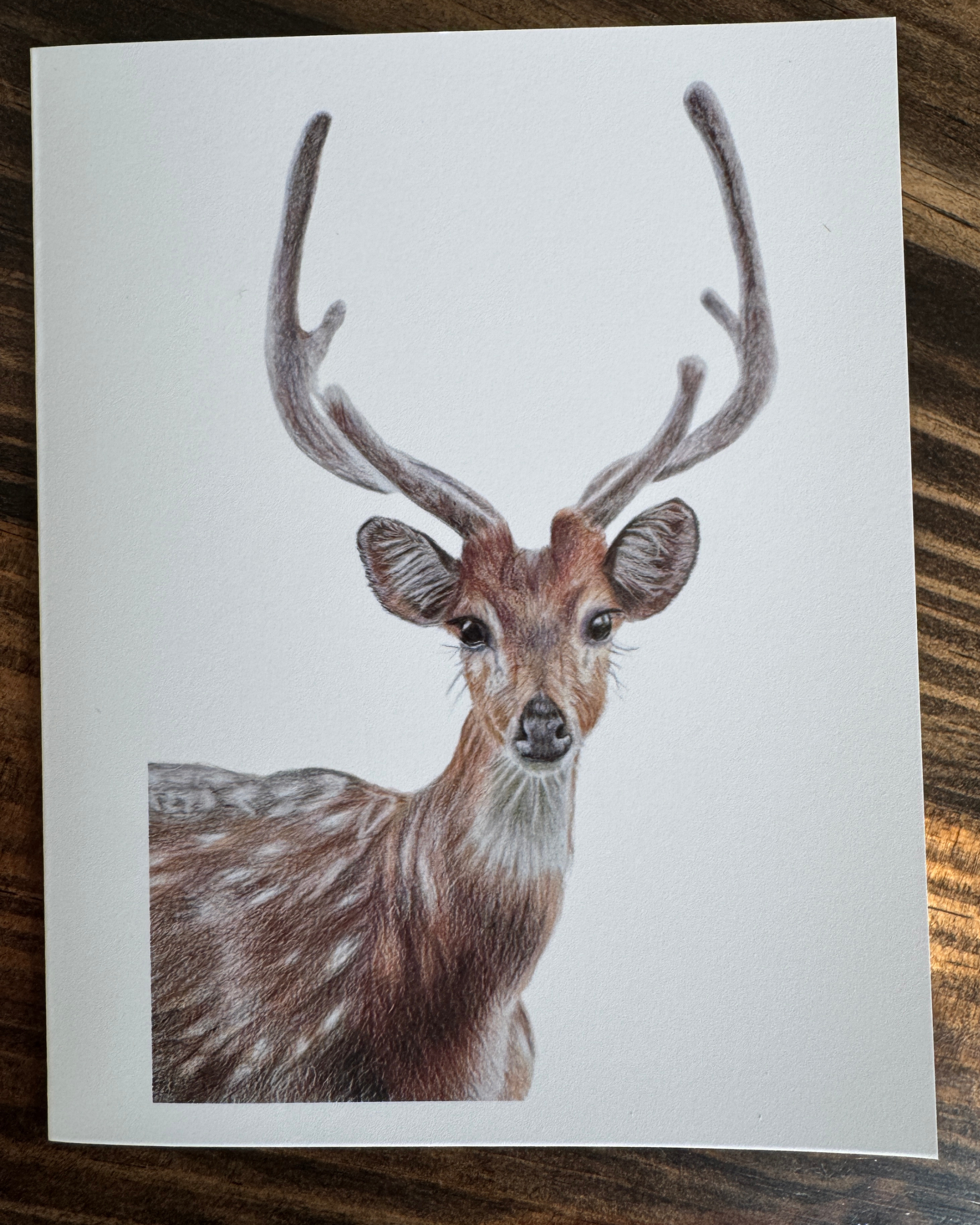 Deer Greeting Card