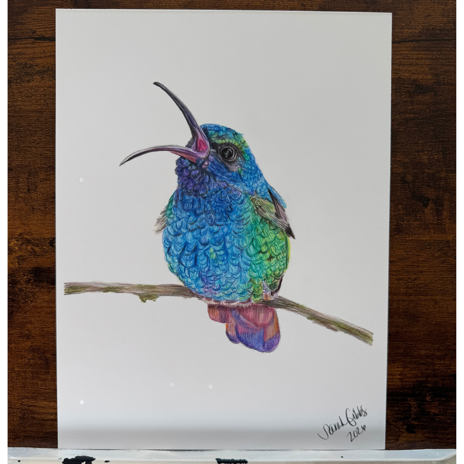 blue singing hummingbird.png