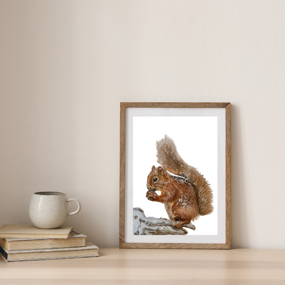 Squirrel Frame 2 c.png