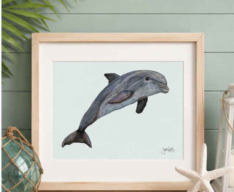 Dolphin Beach Decor
