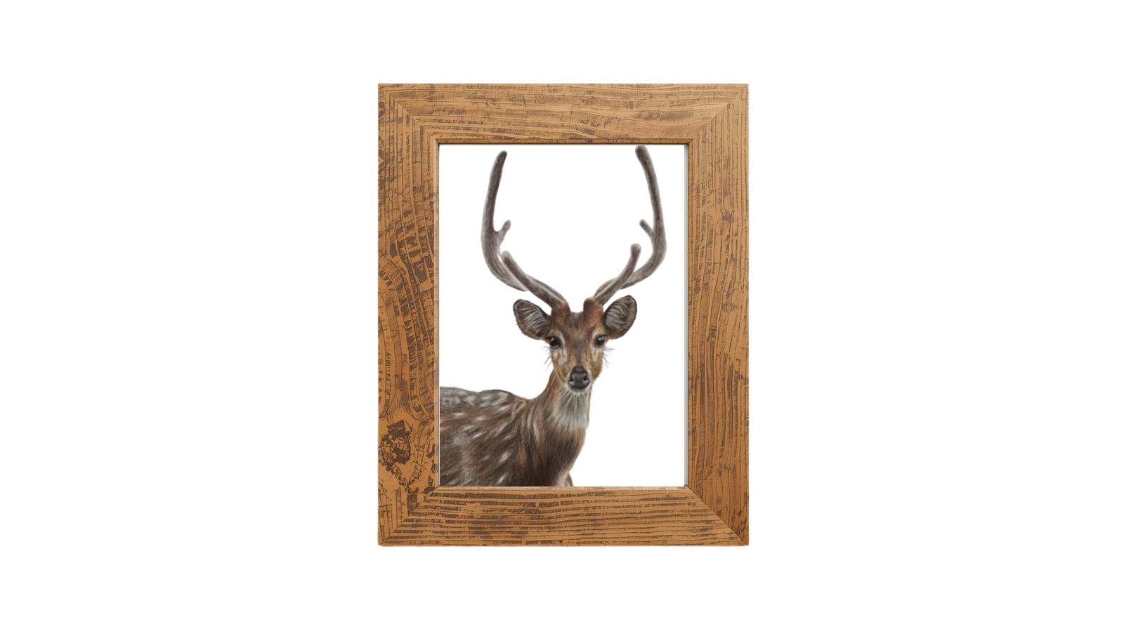 Deer Frame CAI.png