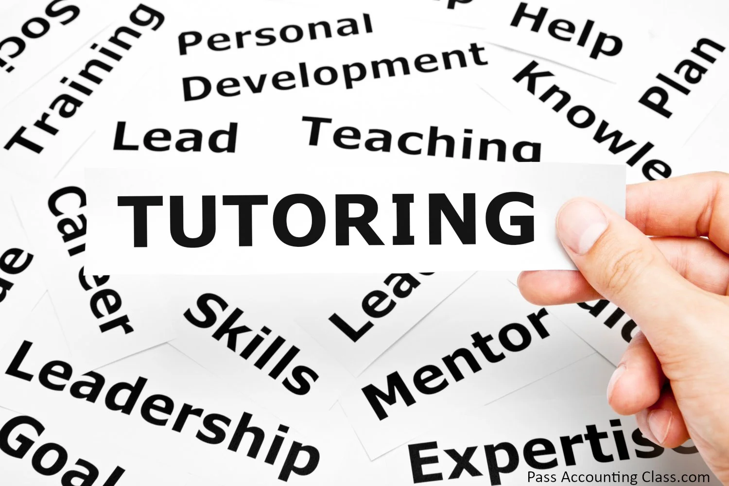 How to Choose the Right Tutor for Your Child: The Ultimate Guide for Parents