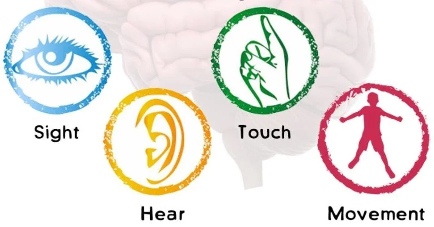 The Value of a Multi-sensory Approach