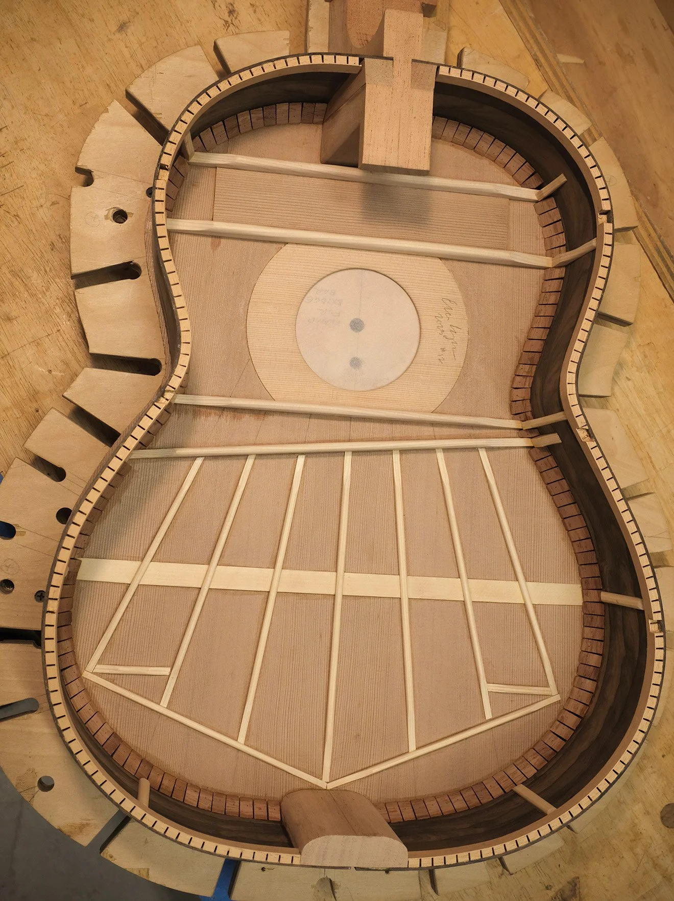 Fleta styler bracing for Cedar Classical