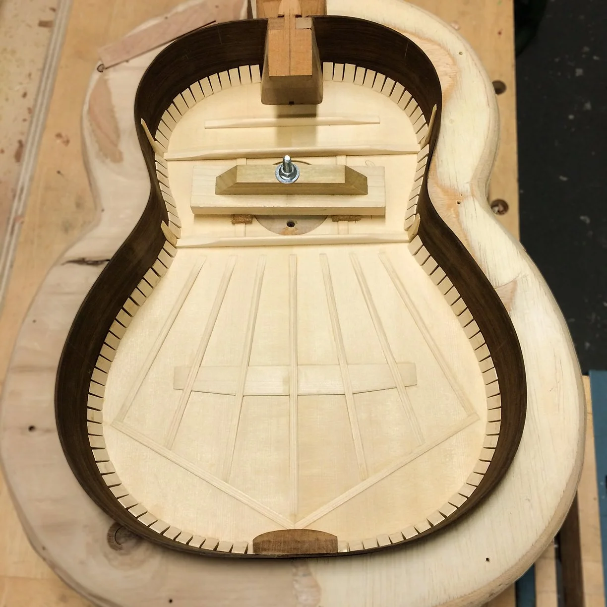 Bracing for spruce top classical