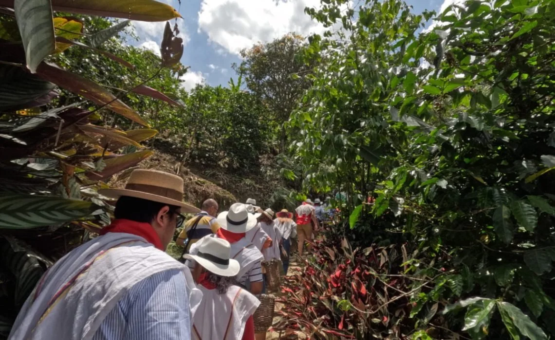 coffee tour medellin.jpg