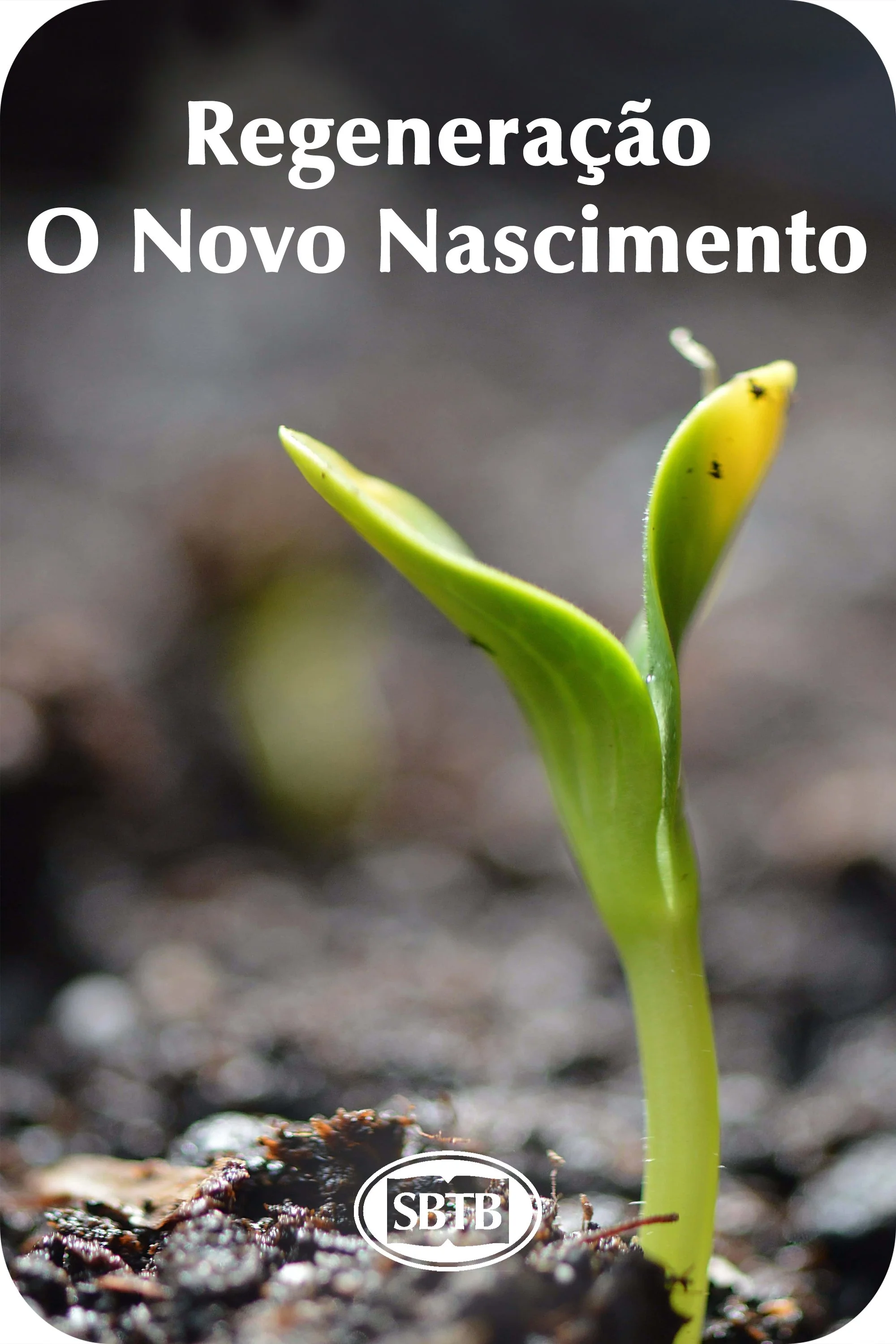 Regeneração - O Novo Nascimento