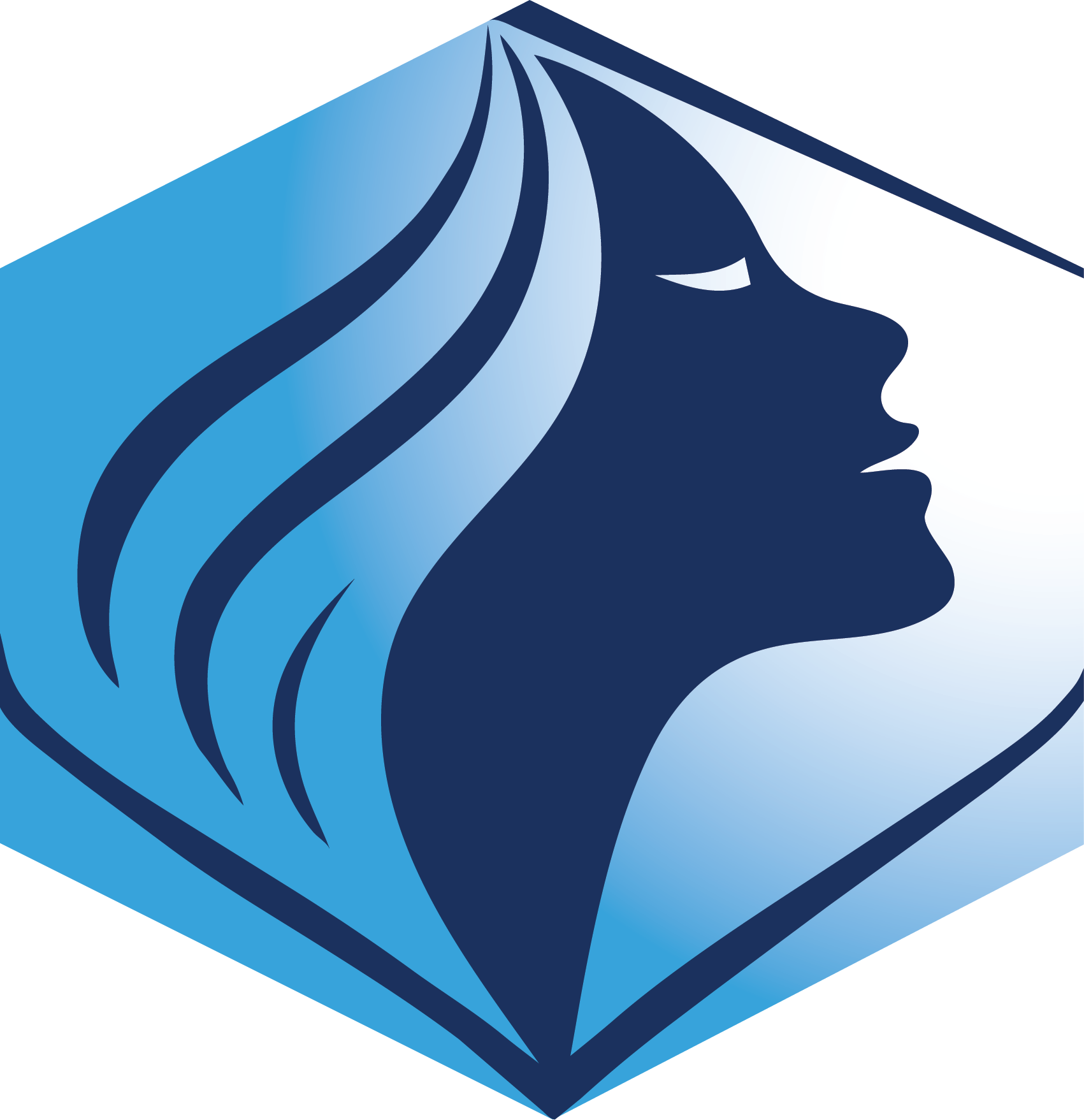 Abstract illustration of a human face profile in white, integrated with stylized flowing blue hair, set against a geometric background with dark and light blue tones.