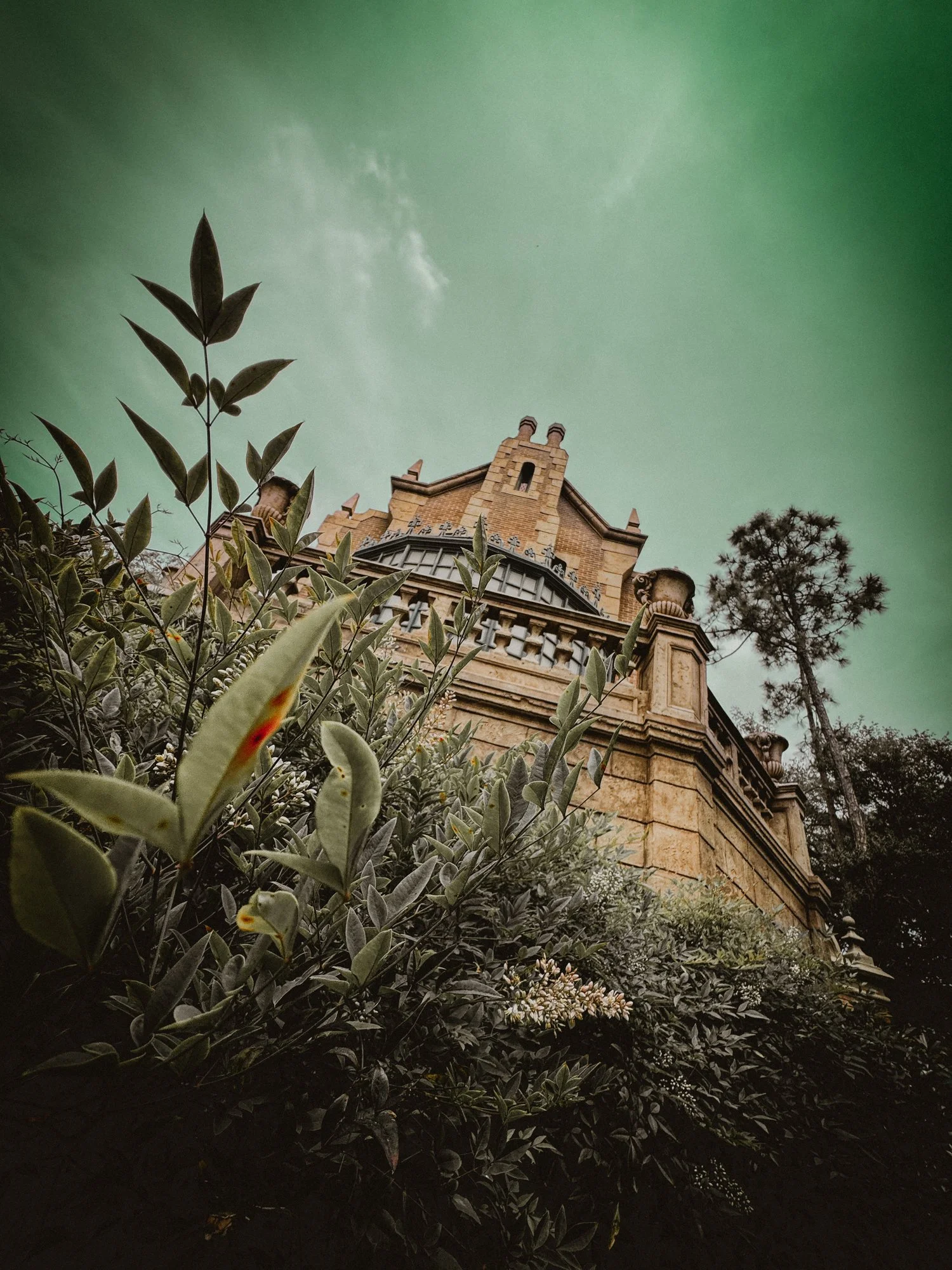 A low-angle view of a building with intricate architectural details, surrounded by trees and bushes with dark green leaves, under a cloudy sky.
