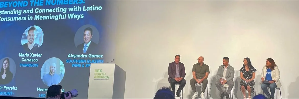 IIEX Panel Speaker 