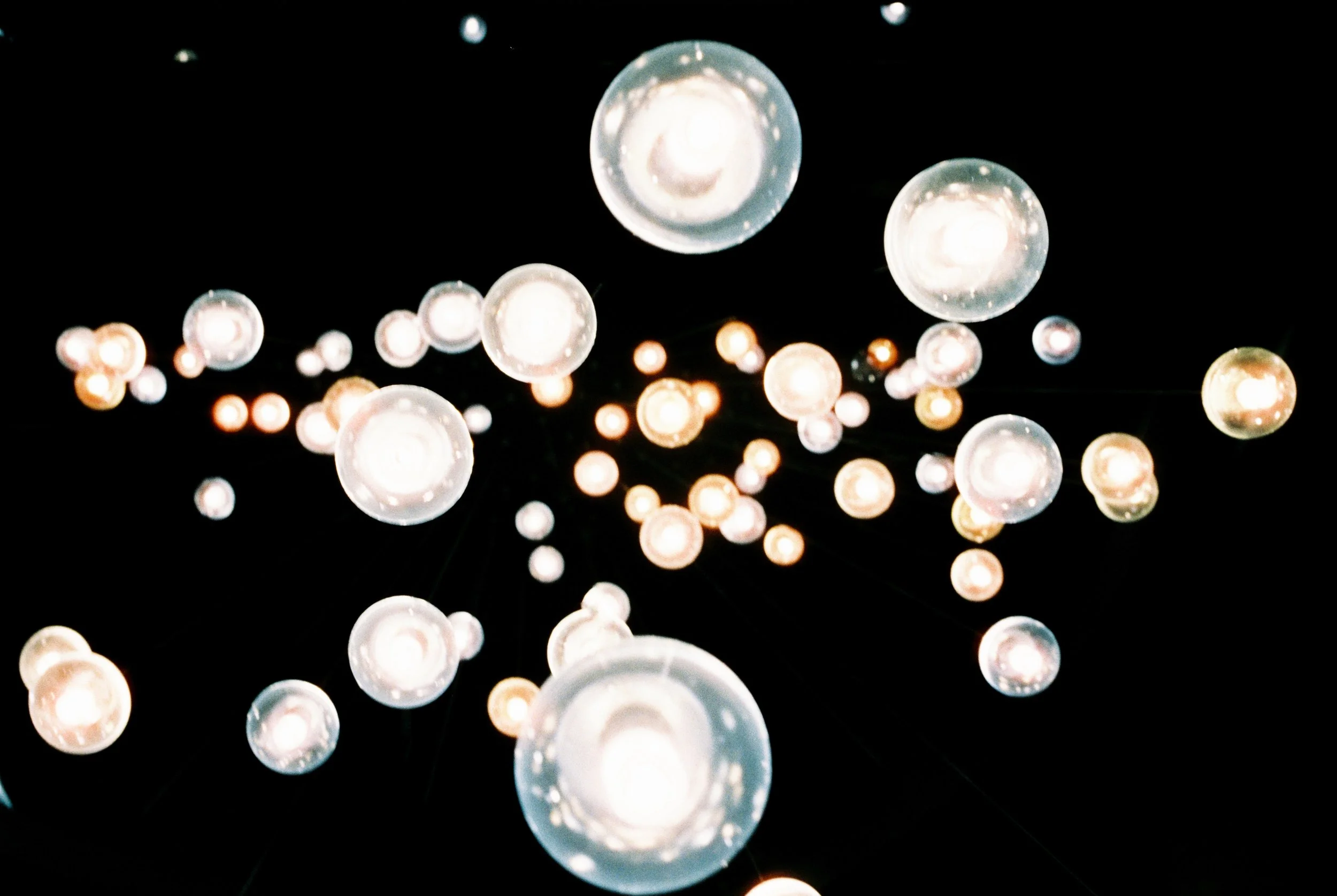 Image 3-2-26 at 6.jpg