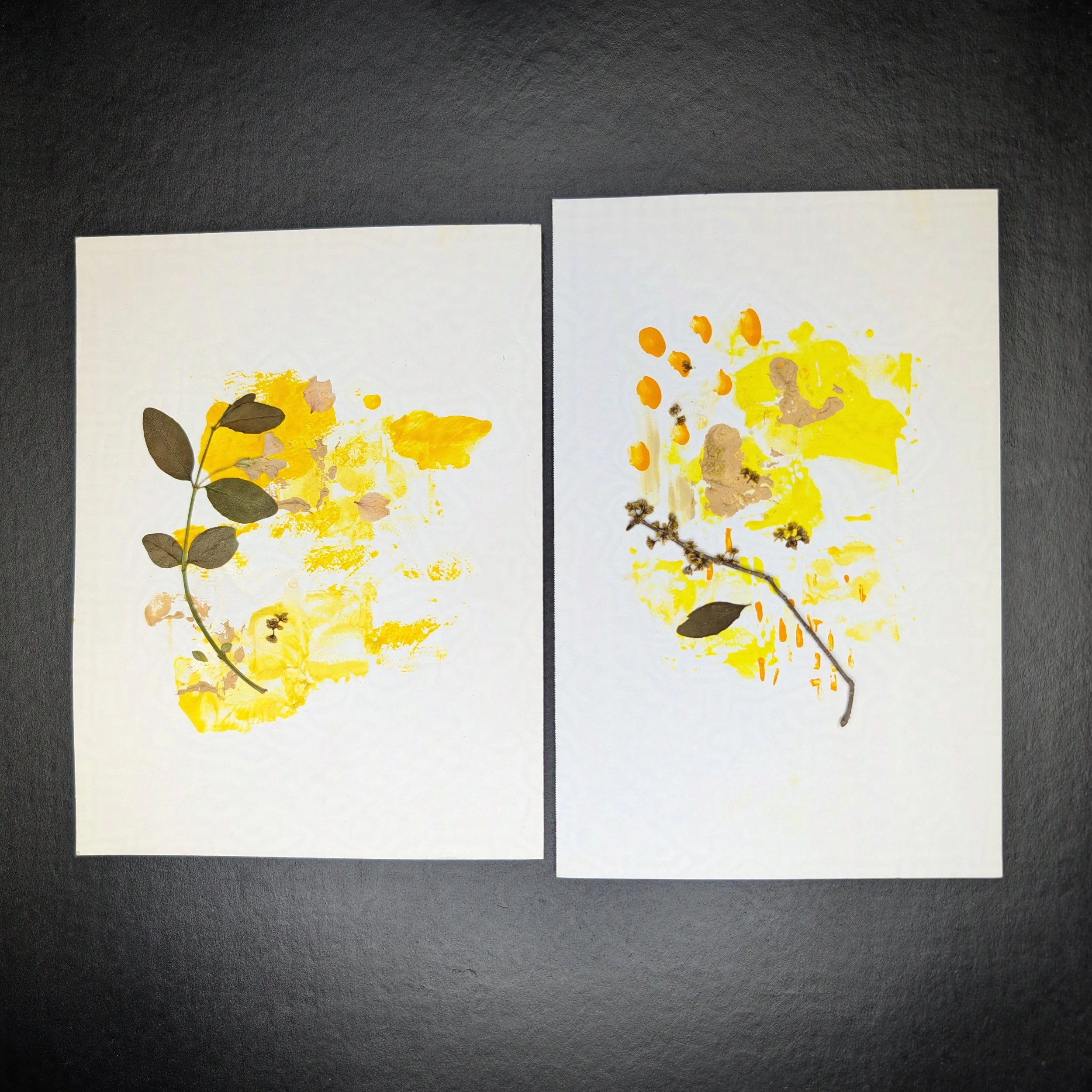 Yellow_1-protected-intensity-LOW-V2.jpg