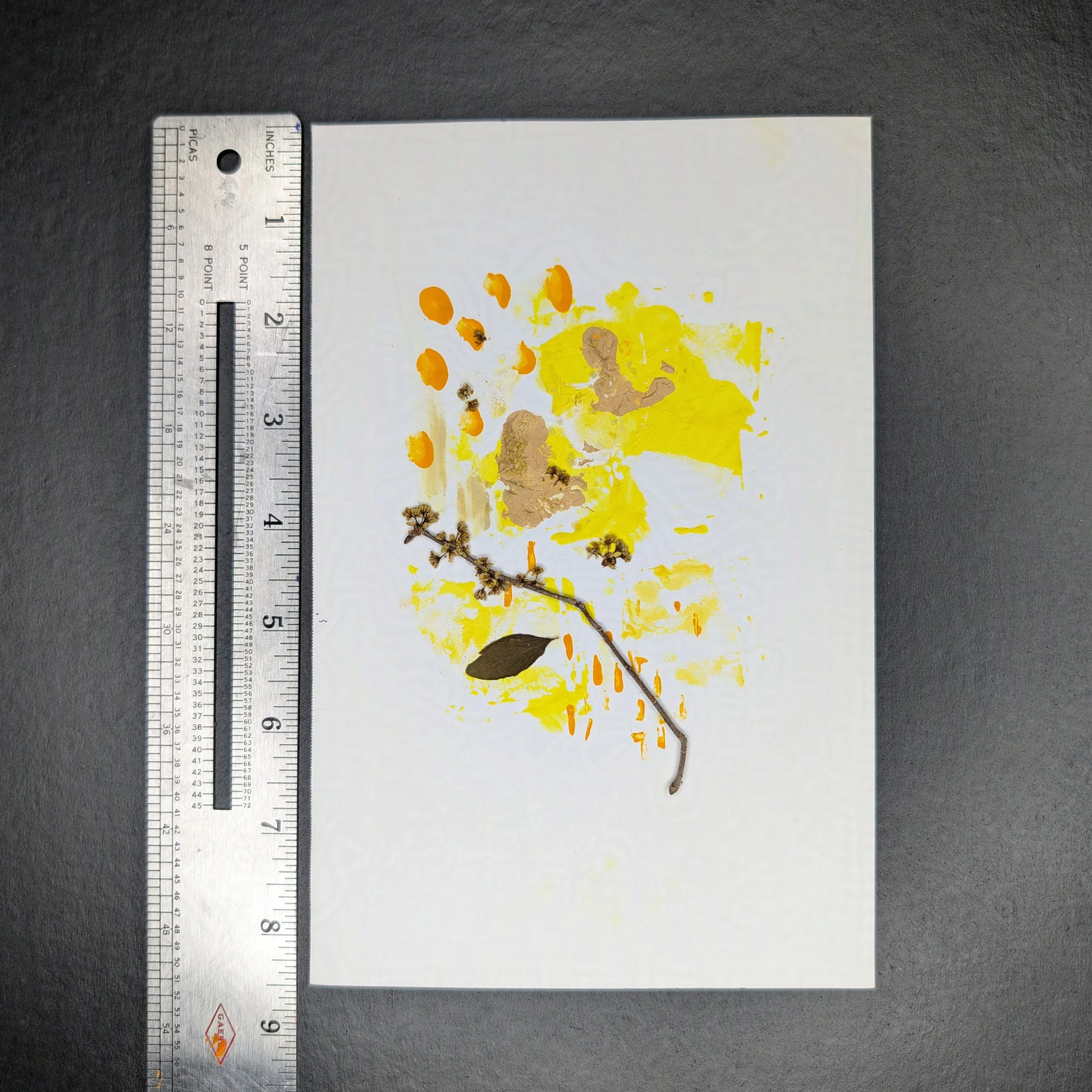 Yellow_3-protected-intensity-LOW-V2.jpg