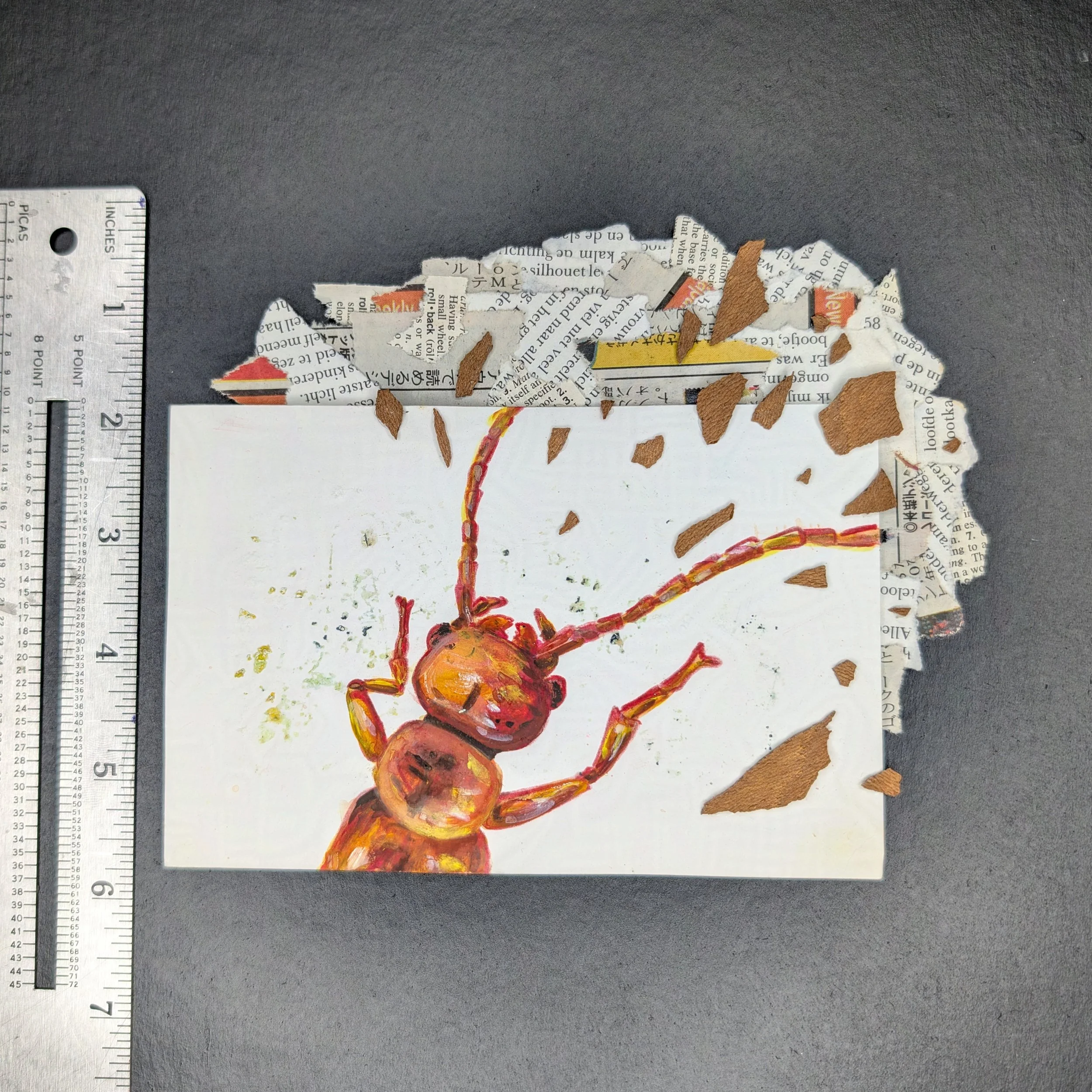 Termite_2-protected-intensity-LOW-V2.jpg