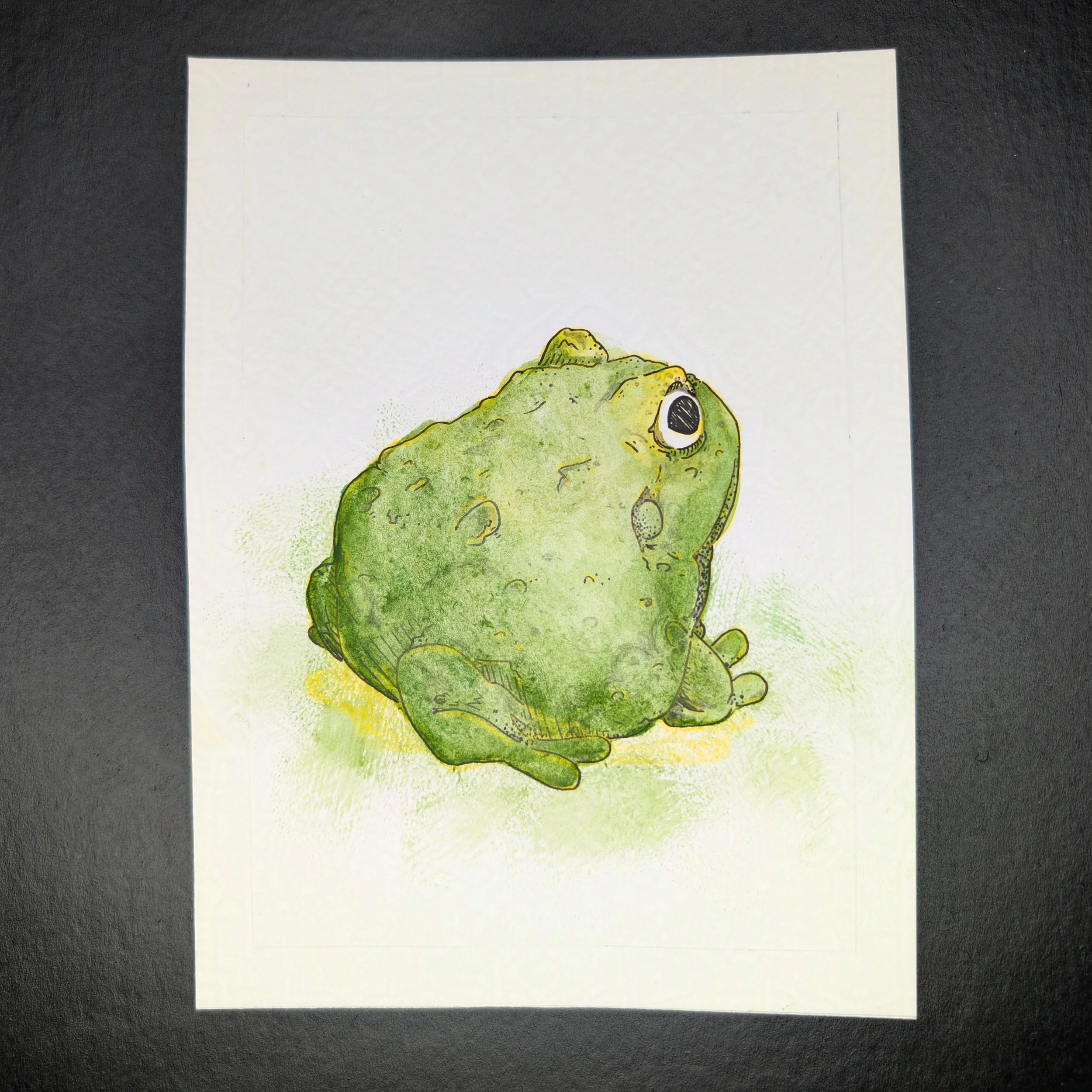 Green Chonk