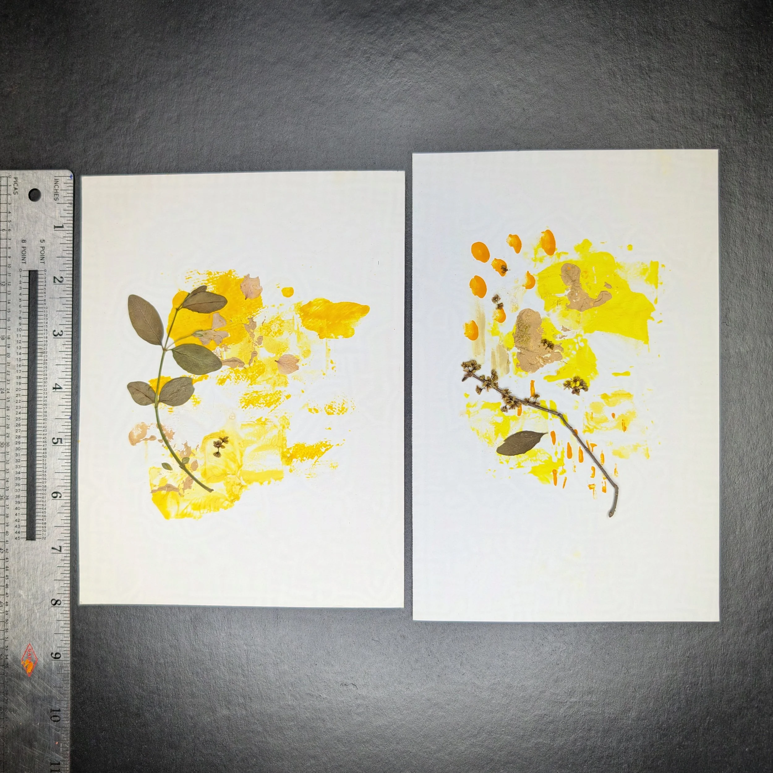 Yellow_2-protected-intensity-LOW-V2.jpg