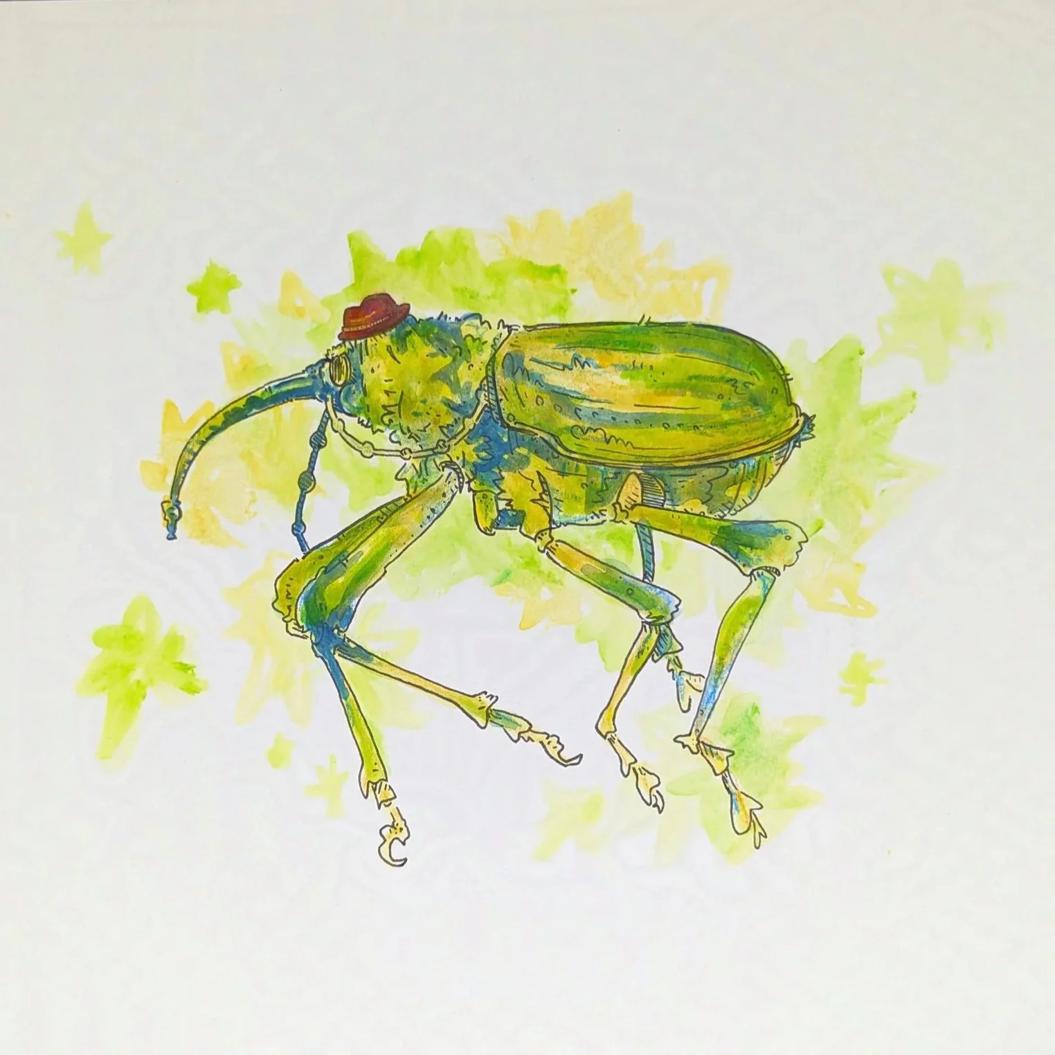 Indignant Weevil
