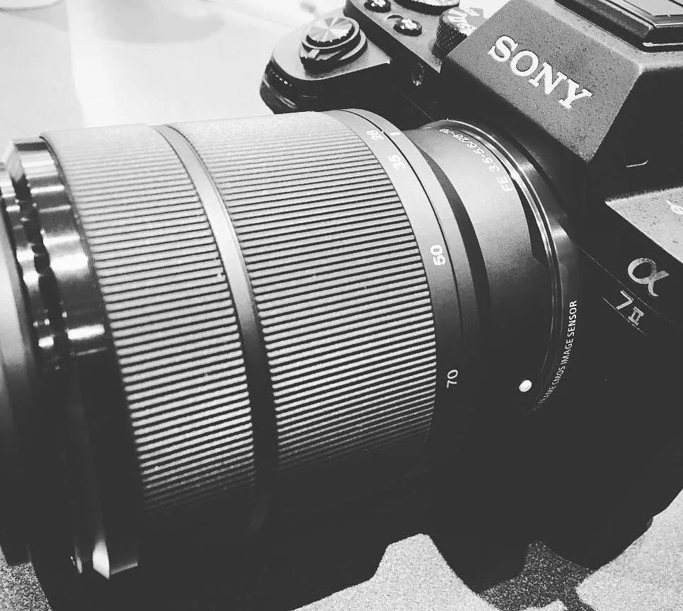 **GIVEAWAY** Friends, I FINALLY got a new camera! After the good ole Nikon gave its all for about 12 years, I&rsquo;ve moved on to Sony. It was clearly time. I think a celebration is in order! In honor of the new camera, I&rsquo;m giving away a FREE 