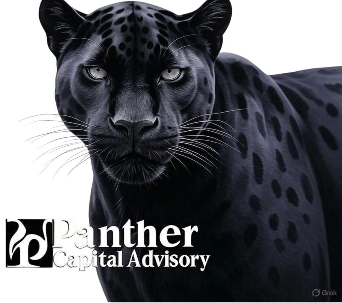 PANTHER CAPITAL ADVISORY