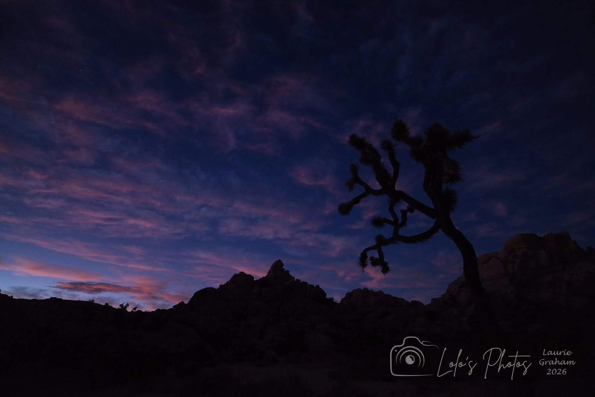 Sunset Joshua Tree Sept 2026