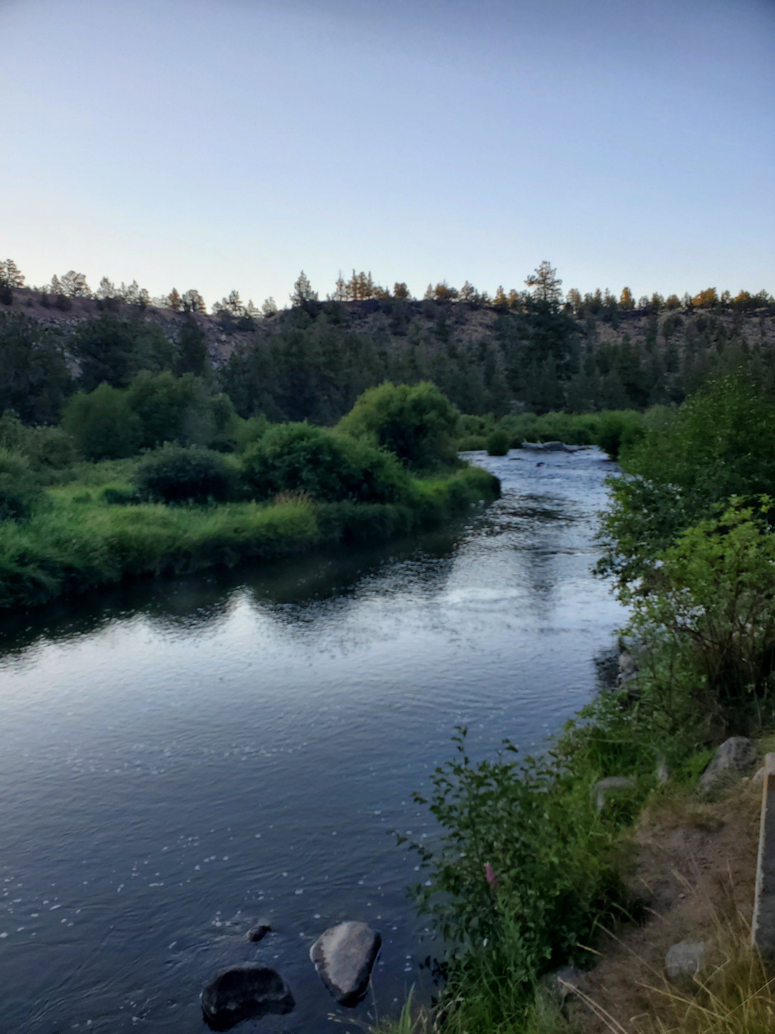20210810_064351.jpg