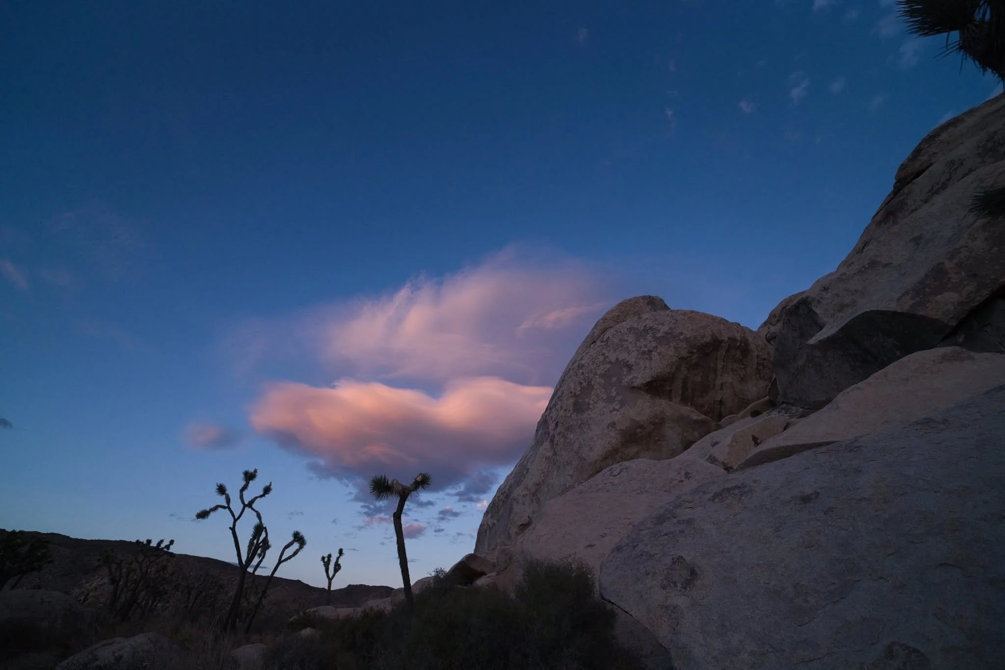 Joshua Tree Cloud n JT Sept 2026