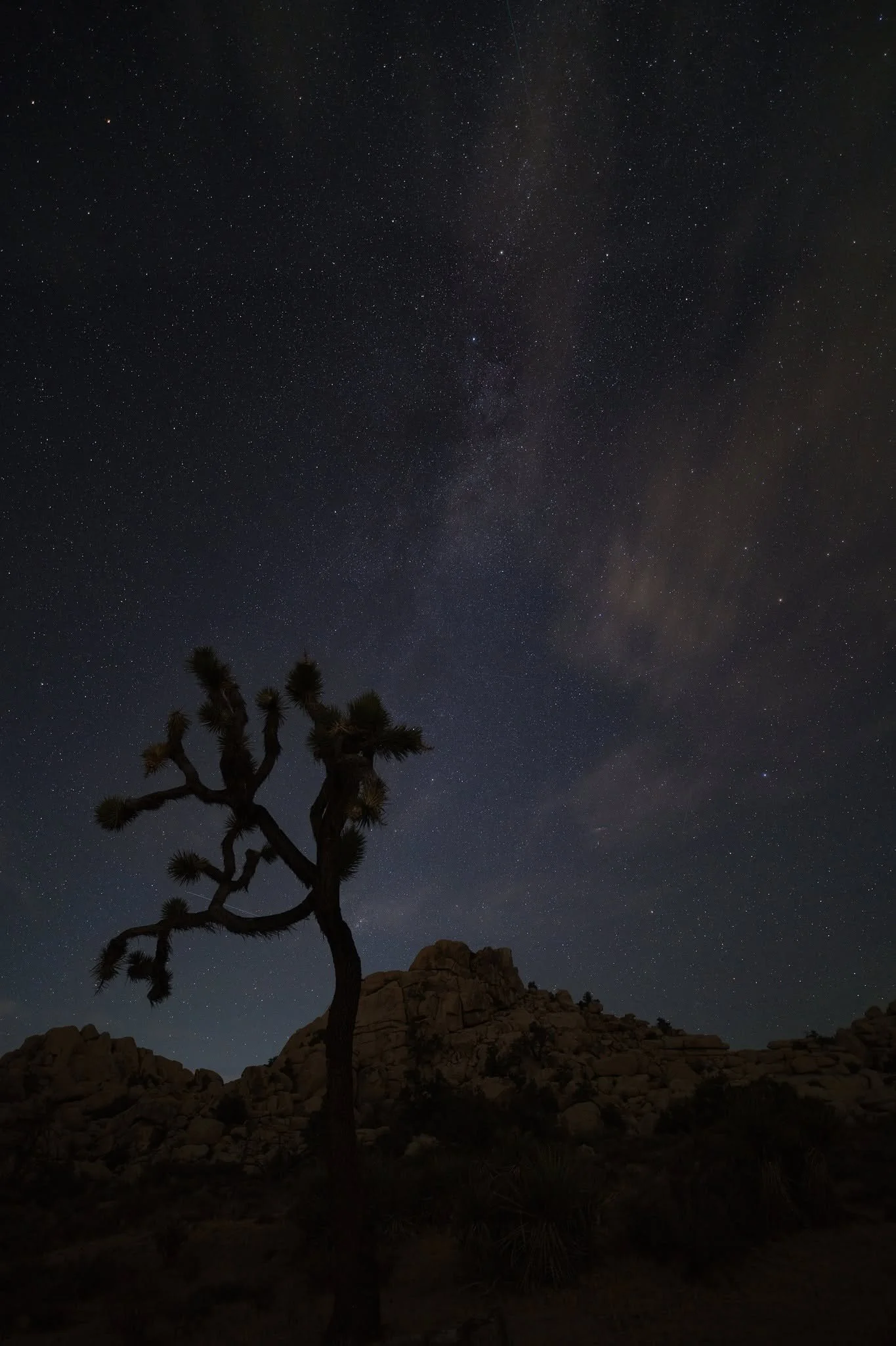 Joshua Tree Dark Sky Sept 2026