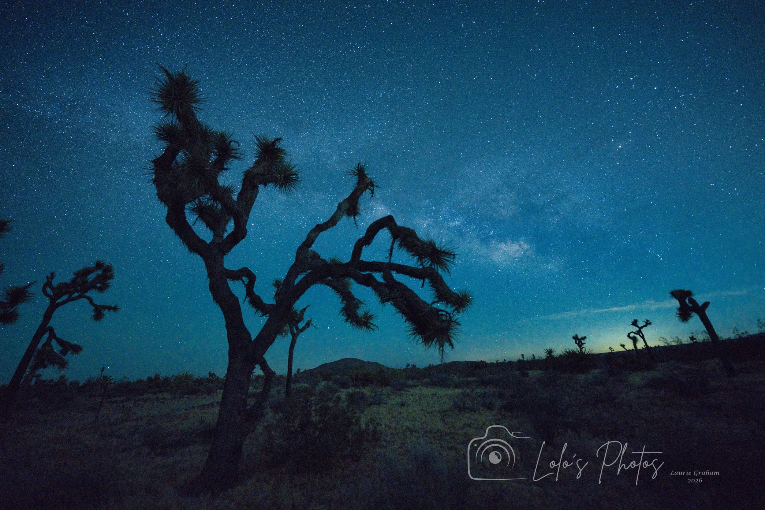 Joshua Tree Milky Way June 2026