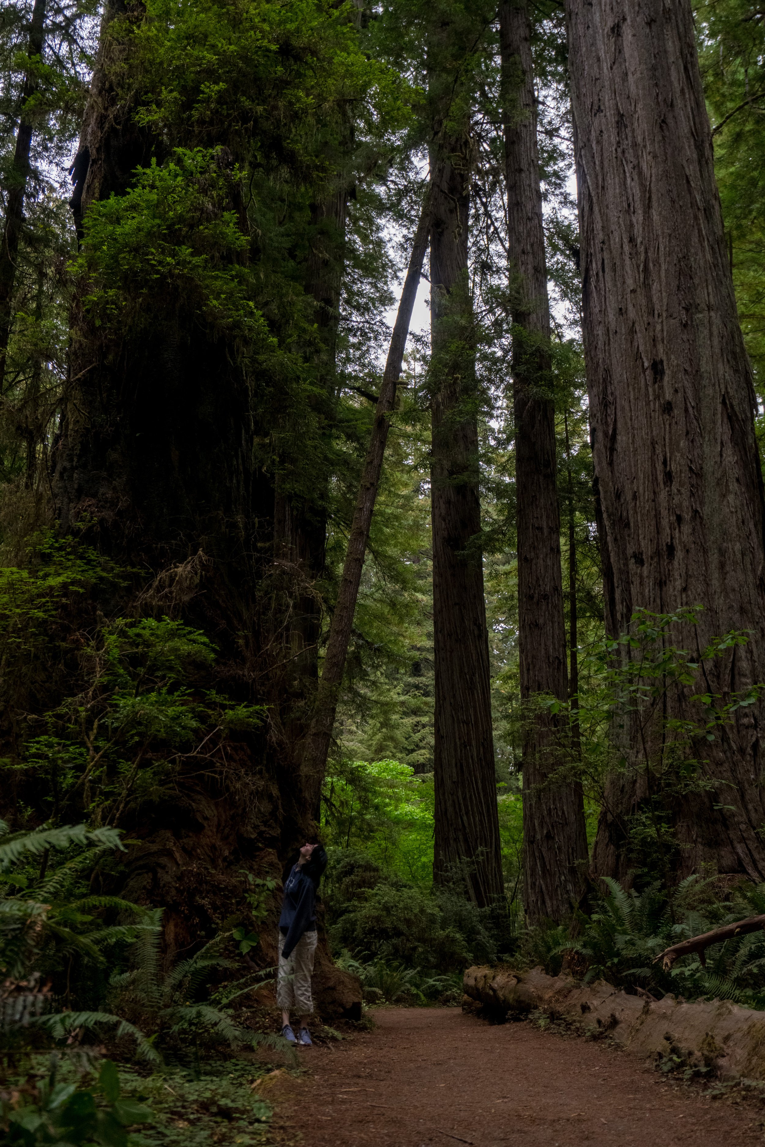 2E265658-0EA5-4702-863D-82FA784B679B.JPEG