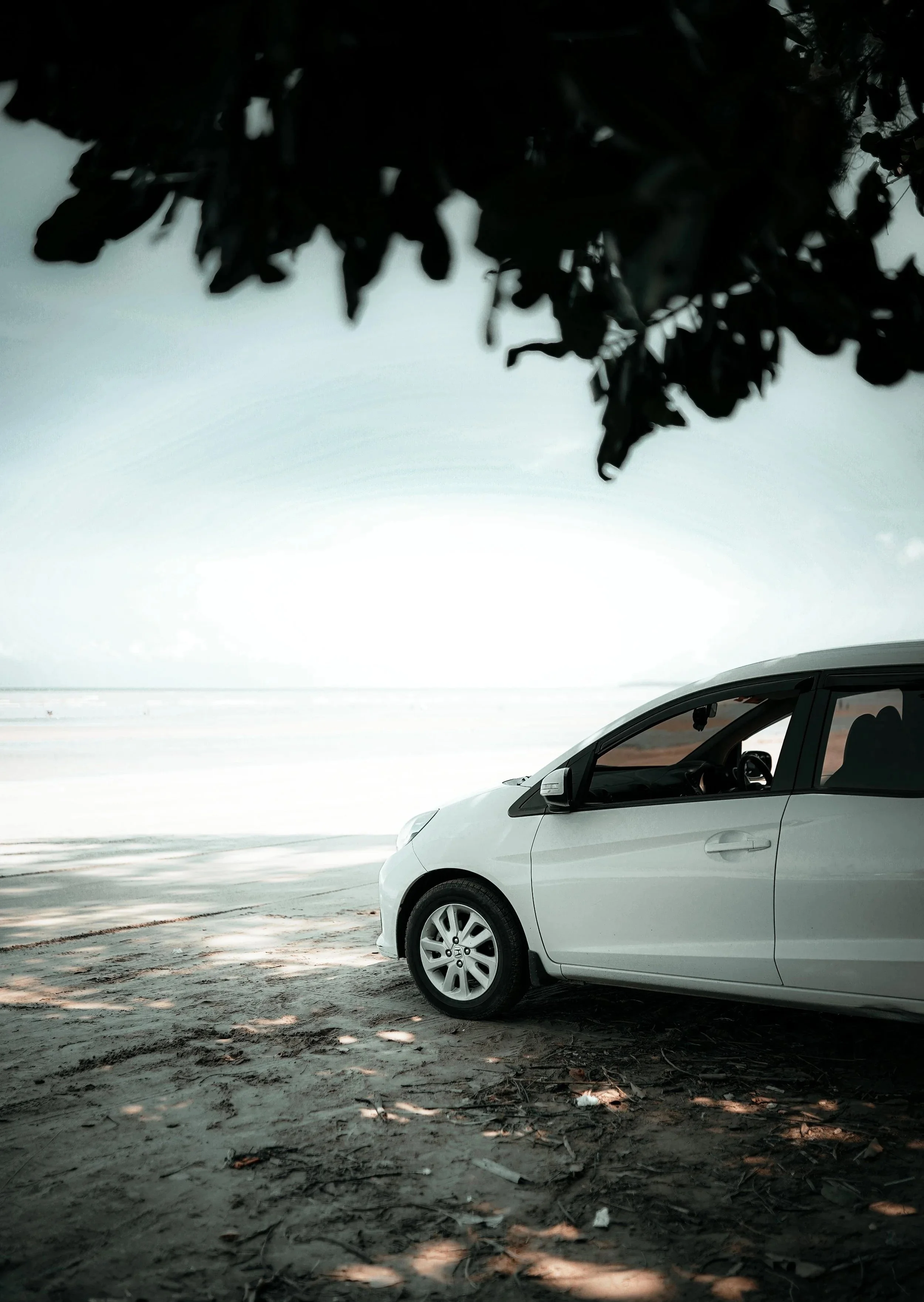 A white car parked on a dirt surface under tree branches with leaves, overlooking a salt flat or desert landscape with a pale sky in the background.