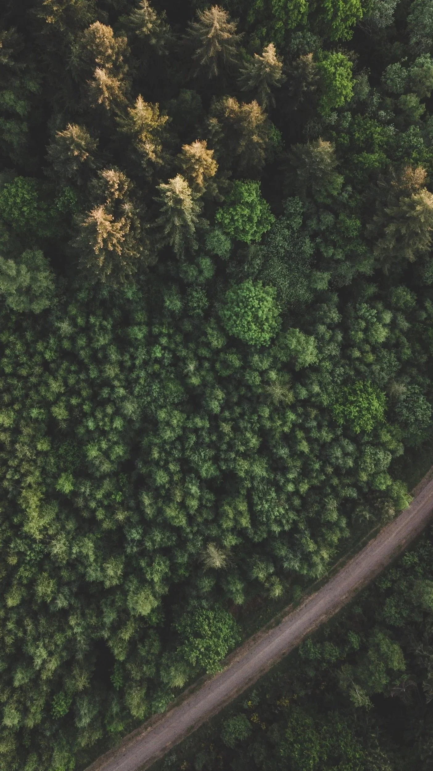 DJI_0023.jpg