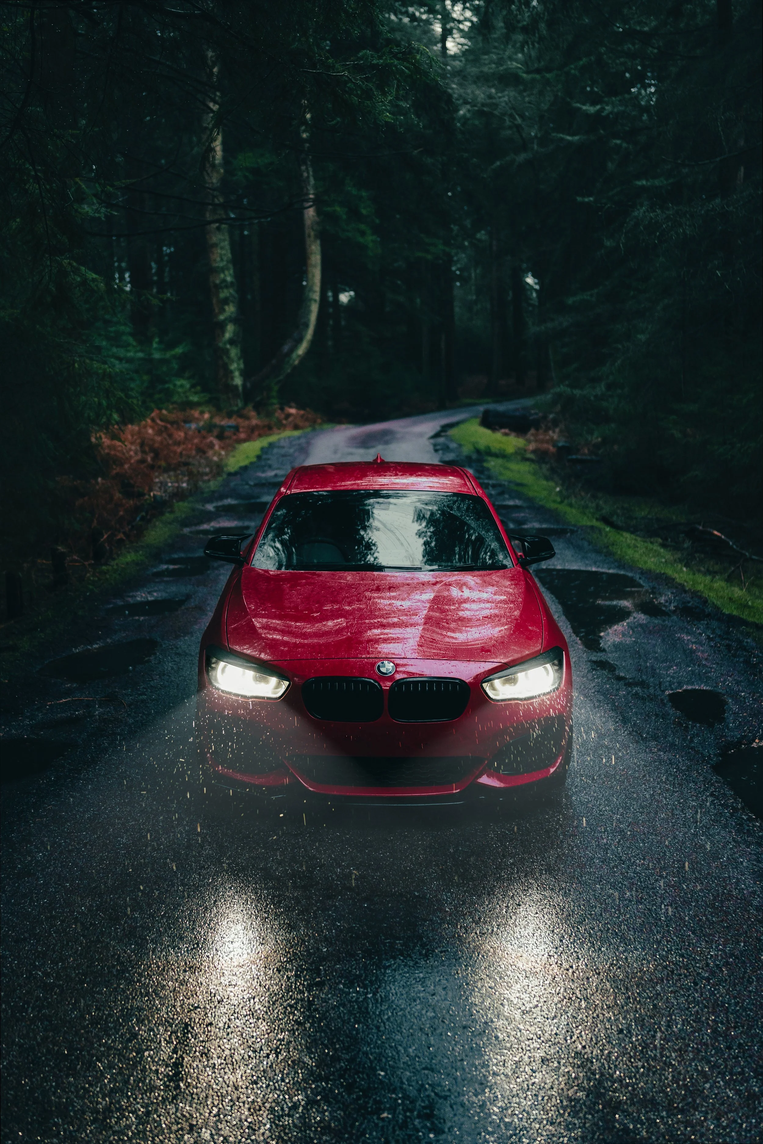 A red car on a wet, dark forest road.