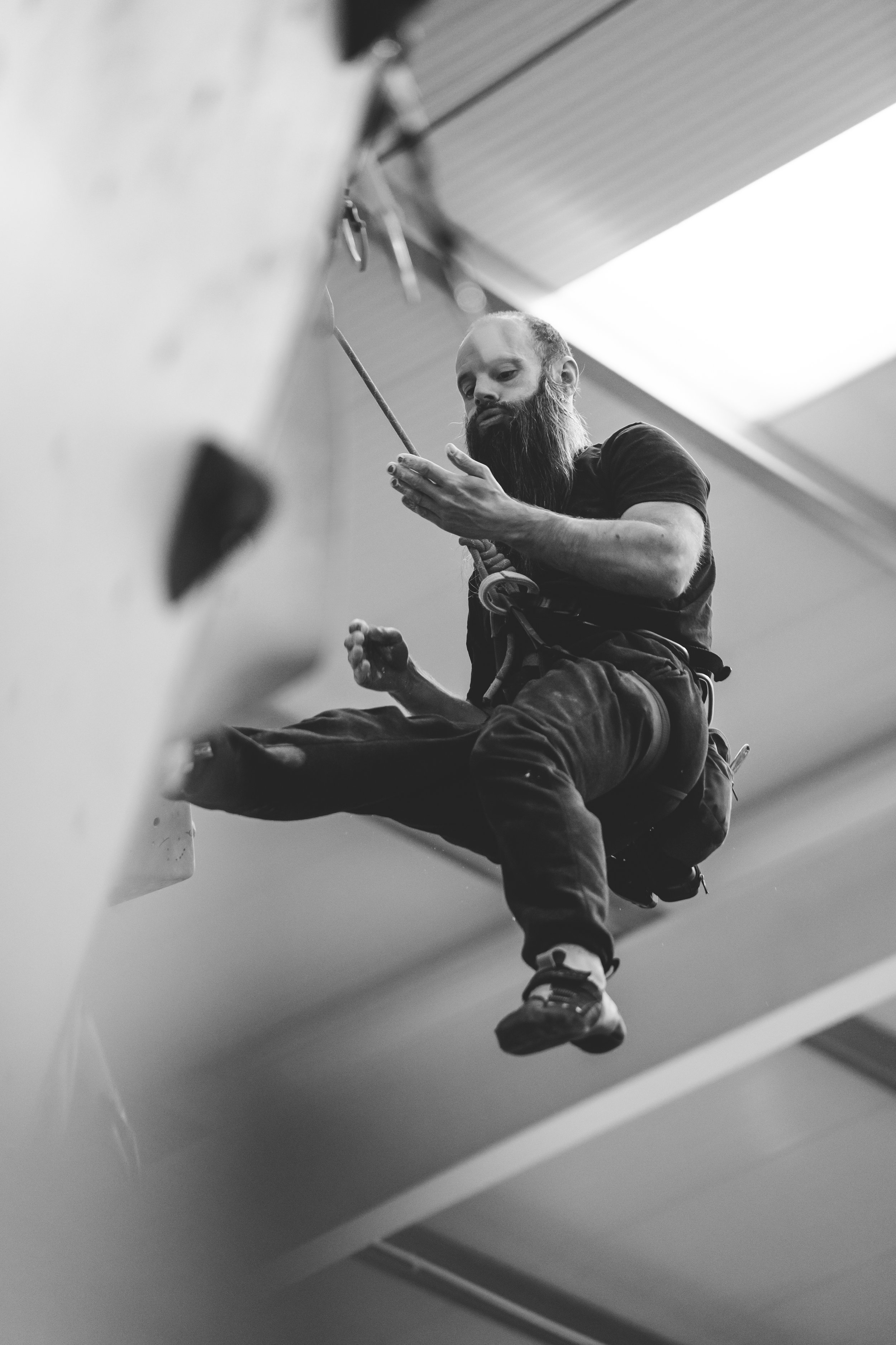A man with a beard wearing a harness is rappelling down an indoor climbing wall, looking at his phone.
