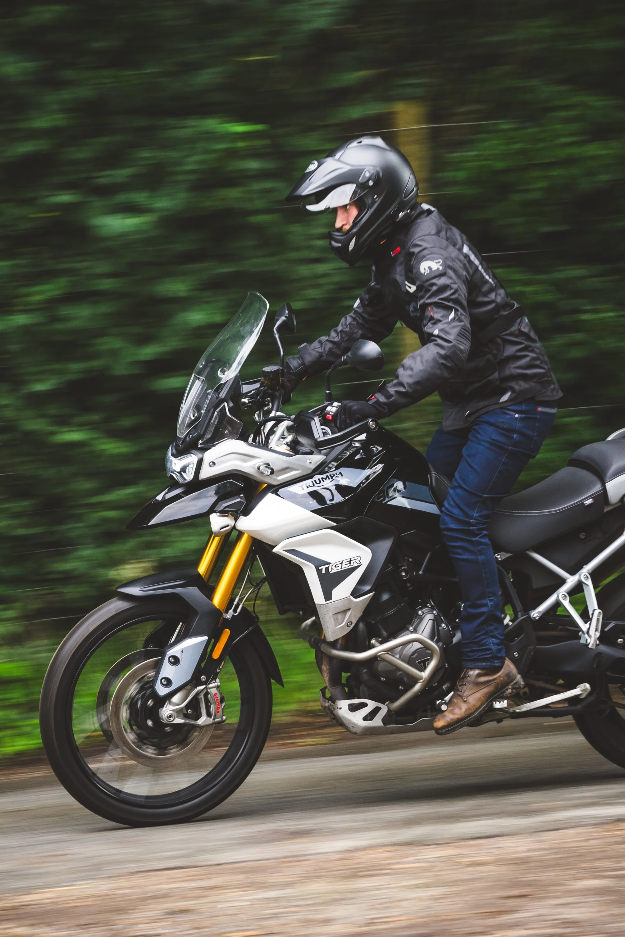 A motorcyclist in a black helmet and jacket riding a Triumph Tiger motorcycle on a road with a blurred green forest background.