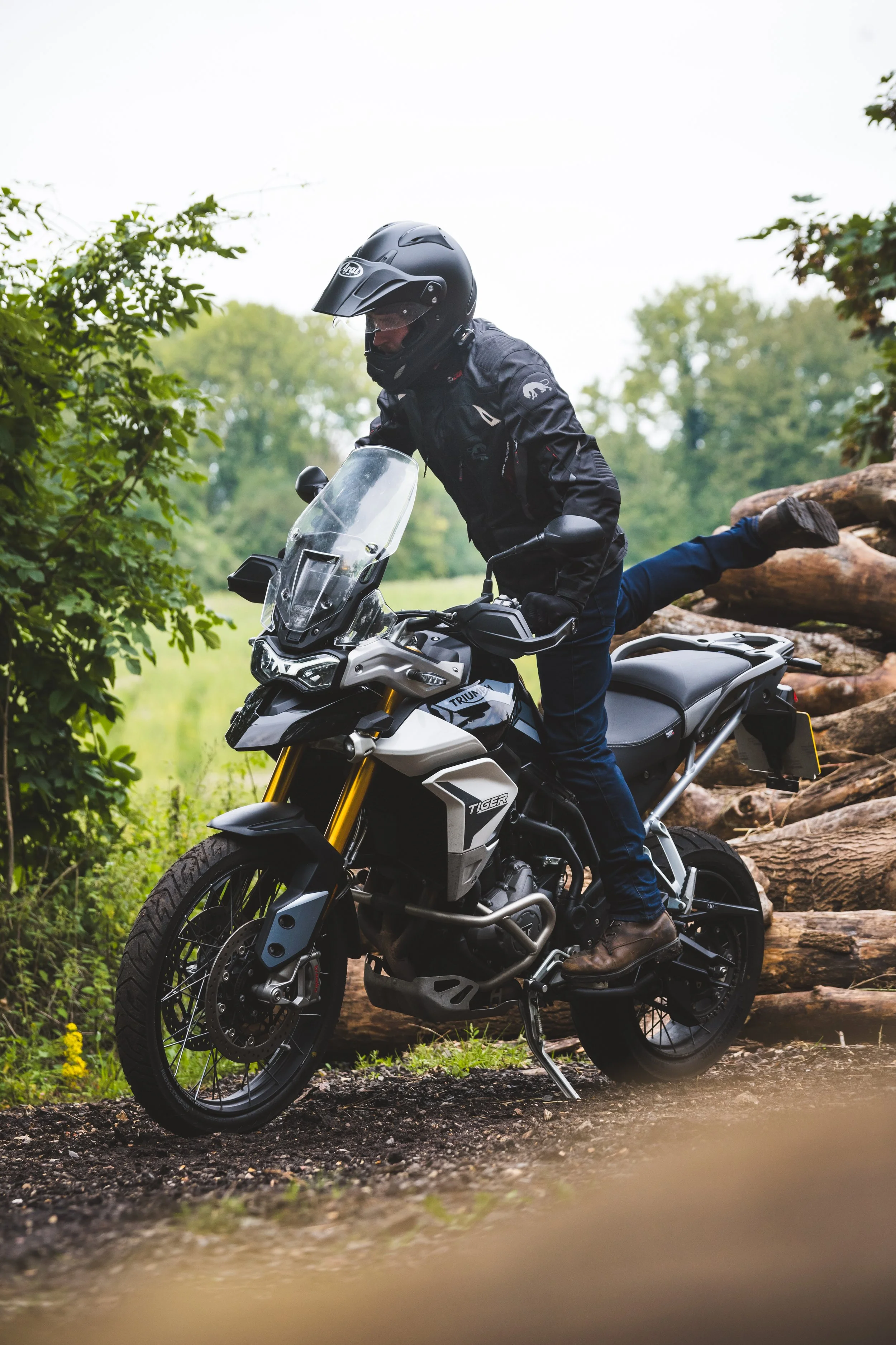 Motorcycle rider on a Triumph Tiger motorcycle in a wooded outdoor setting, with logs in the background.