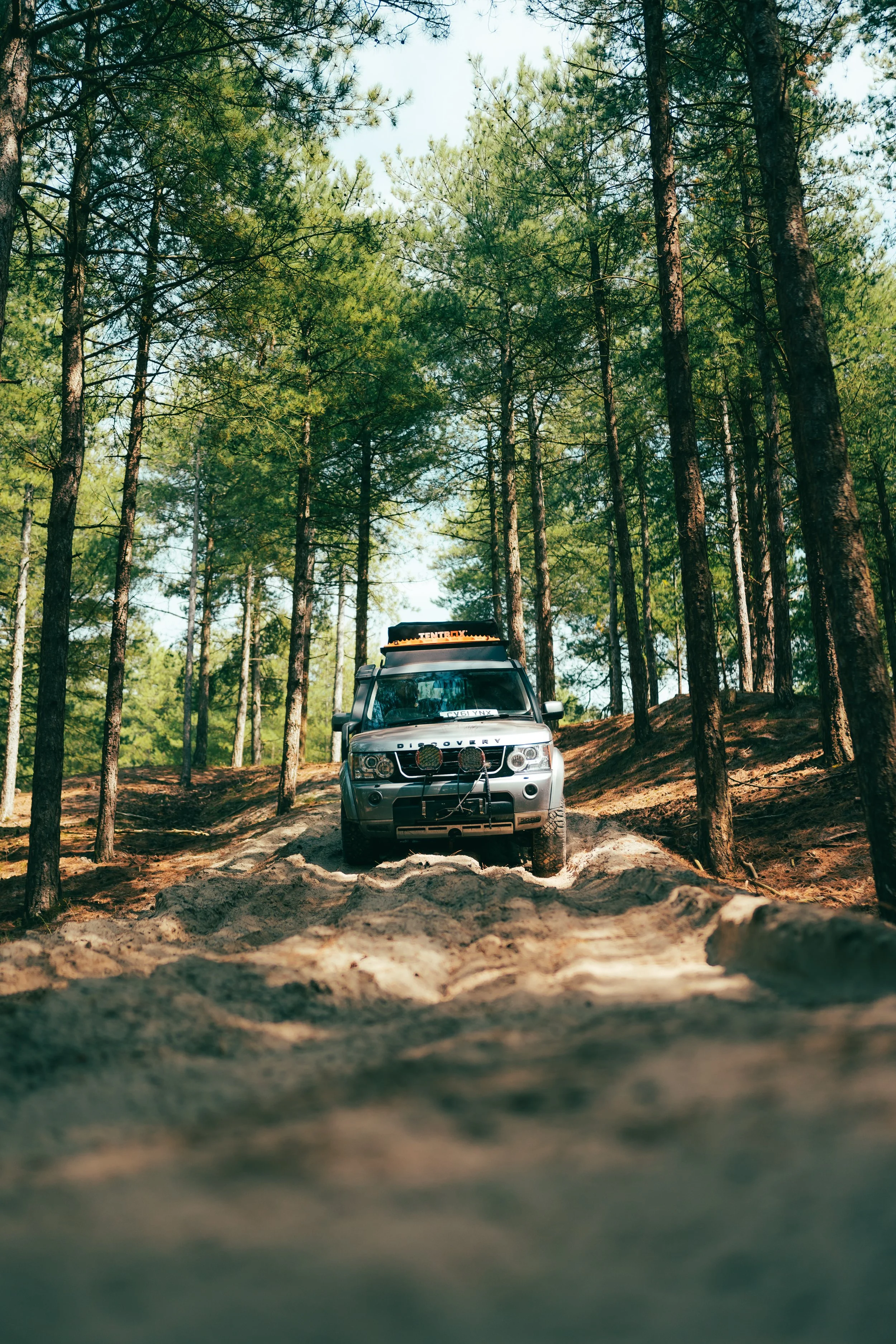 A silver off-road vehicle driving on a dirt trail through a dense pine forest with tall trees.